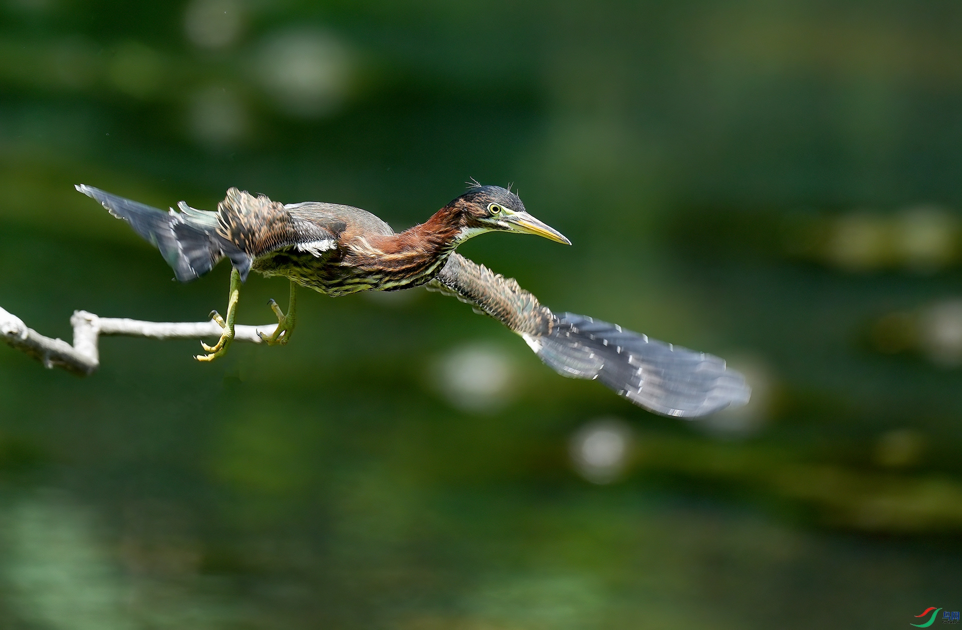 DSC05460--.jpg