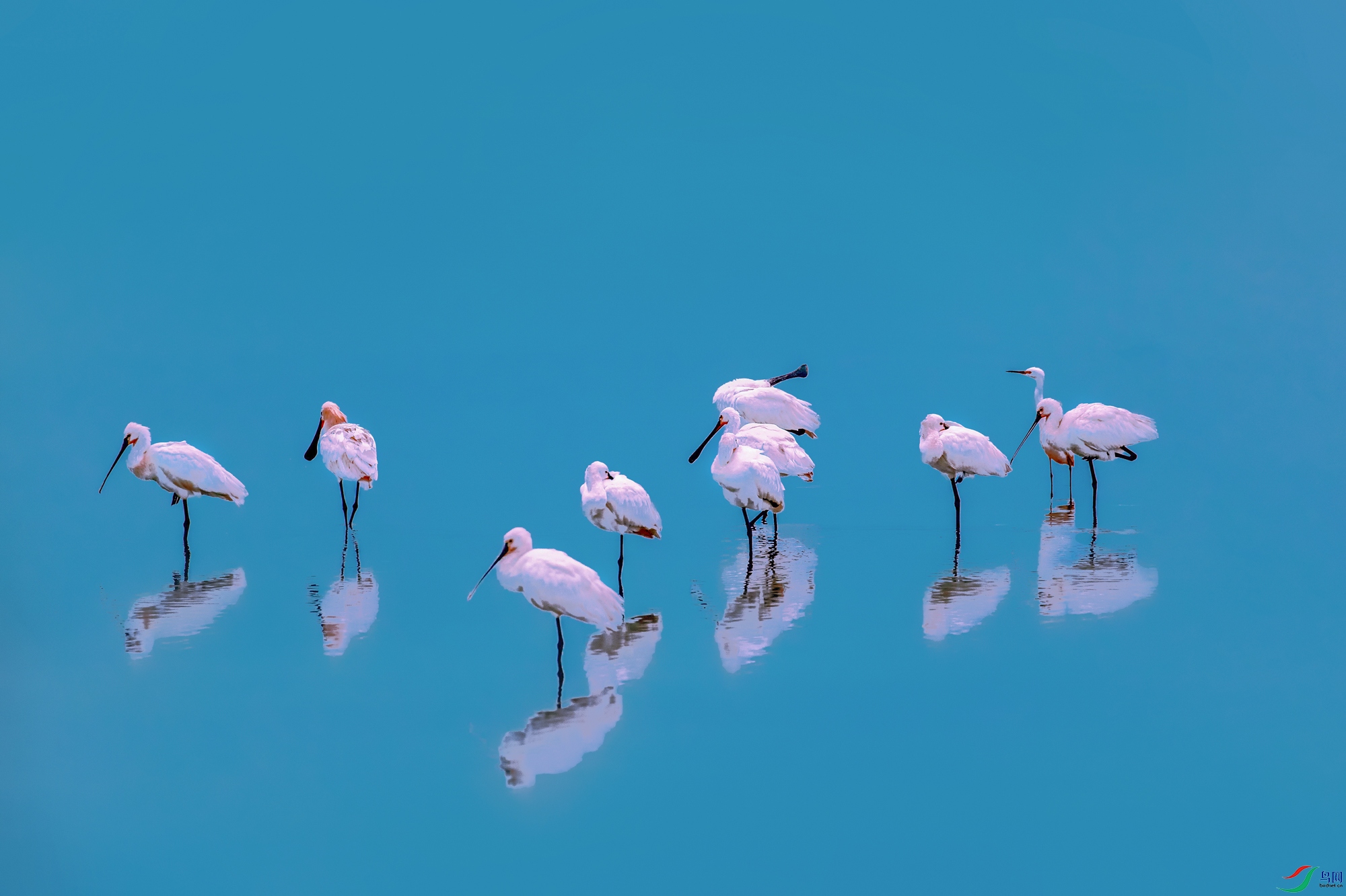 ��������----��˼����