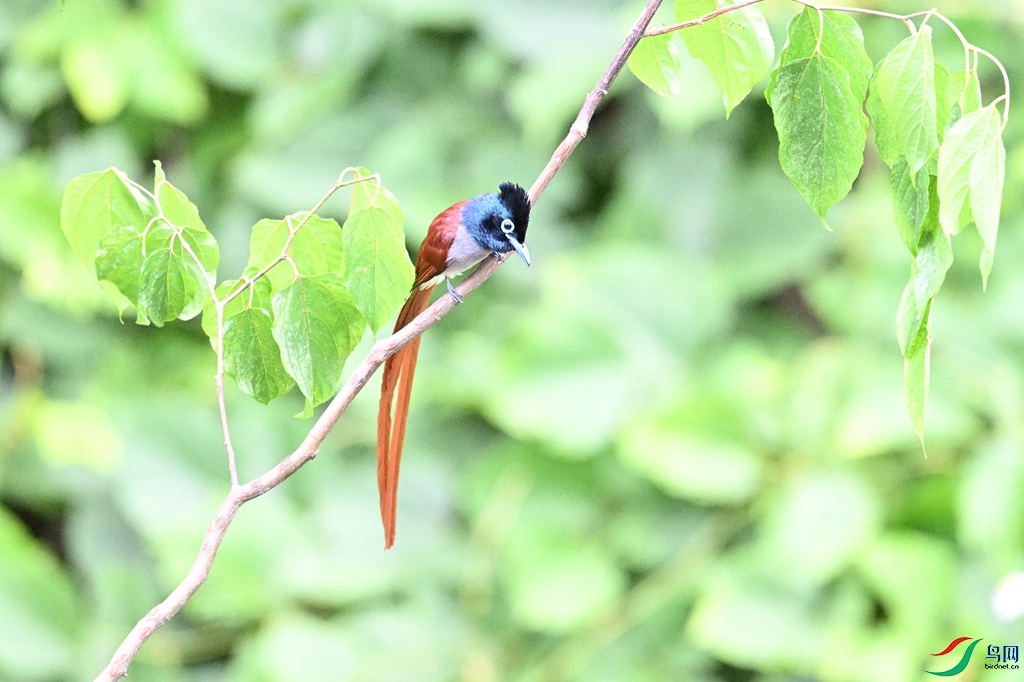DSC_7490.JPG