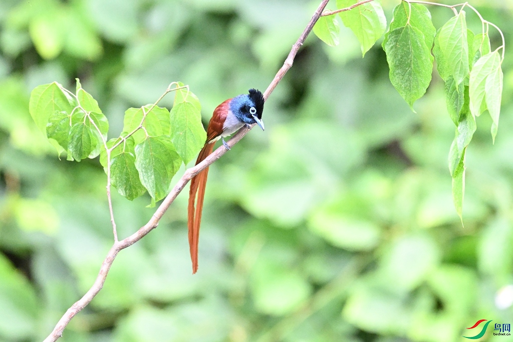 DSC_7499.JPG