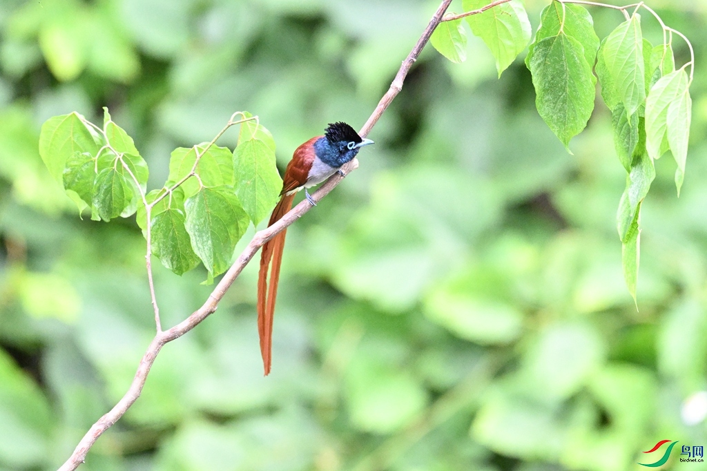 DSC_7503.JPG