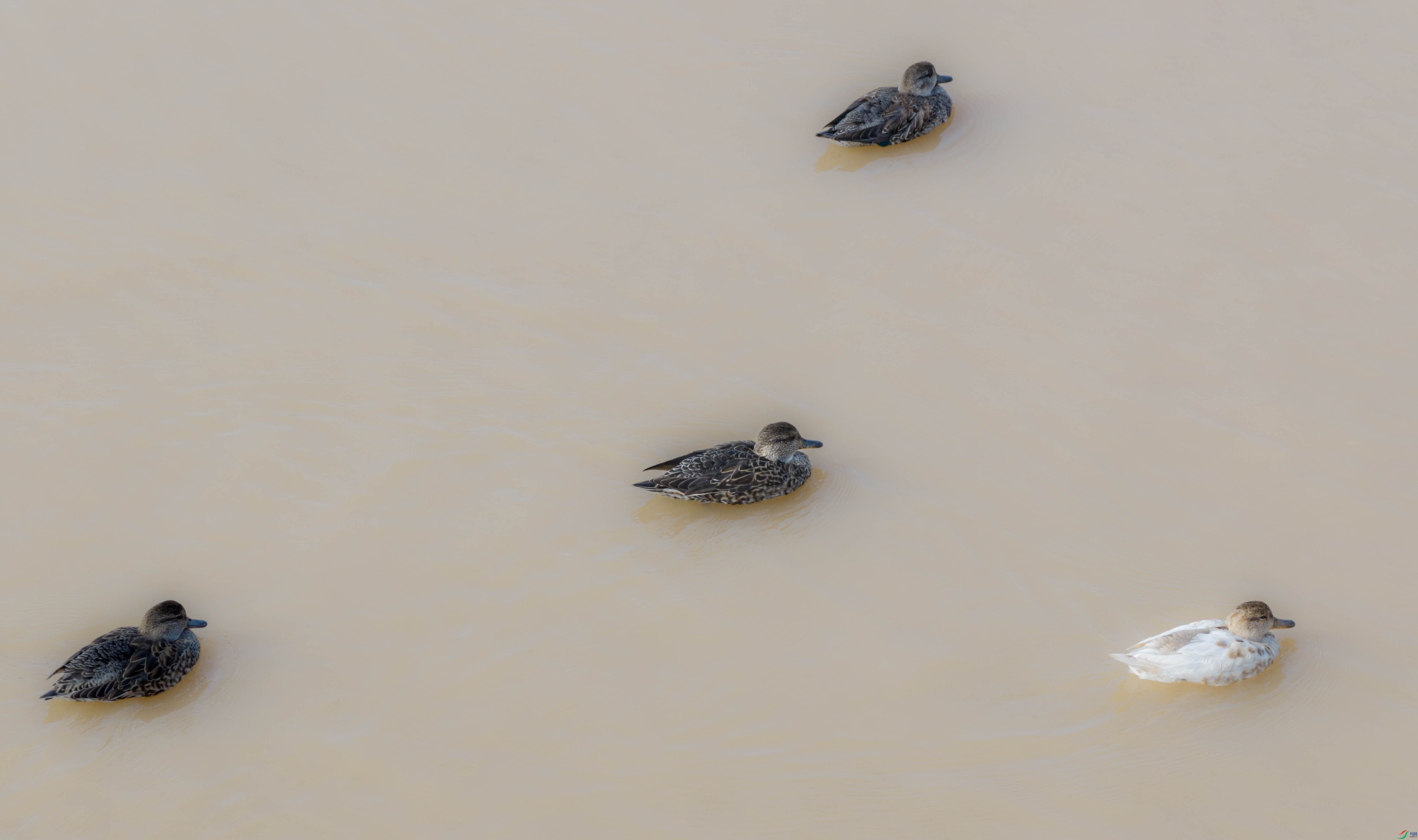 DJI_20251106103358_0289_D ����.jpg