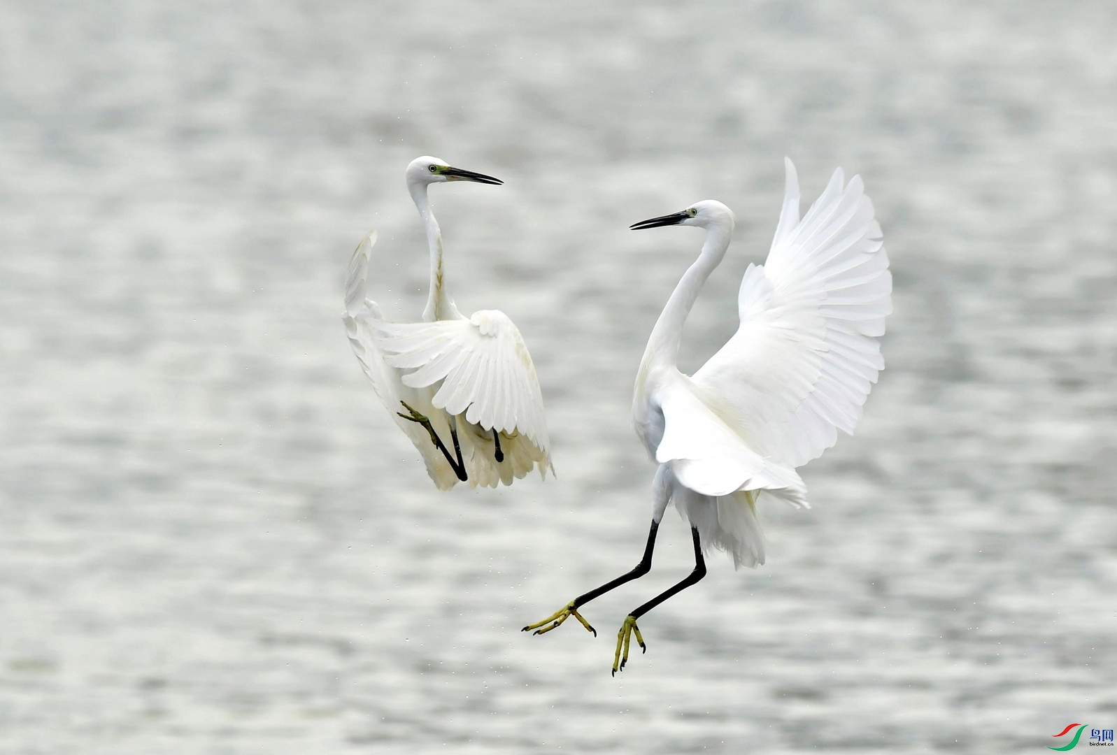 DSC_6326.jpg