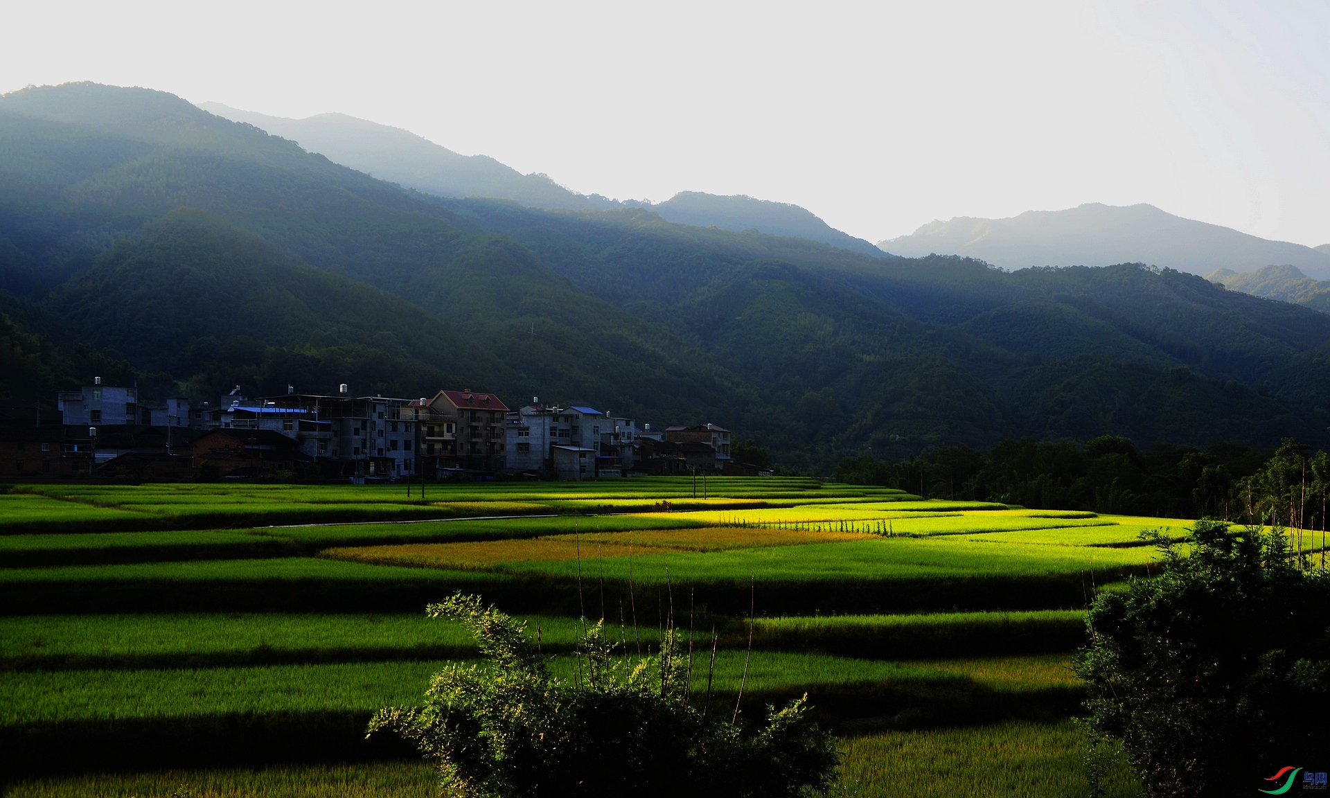 _D801285.jpg