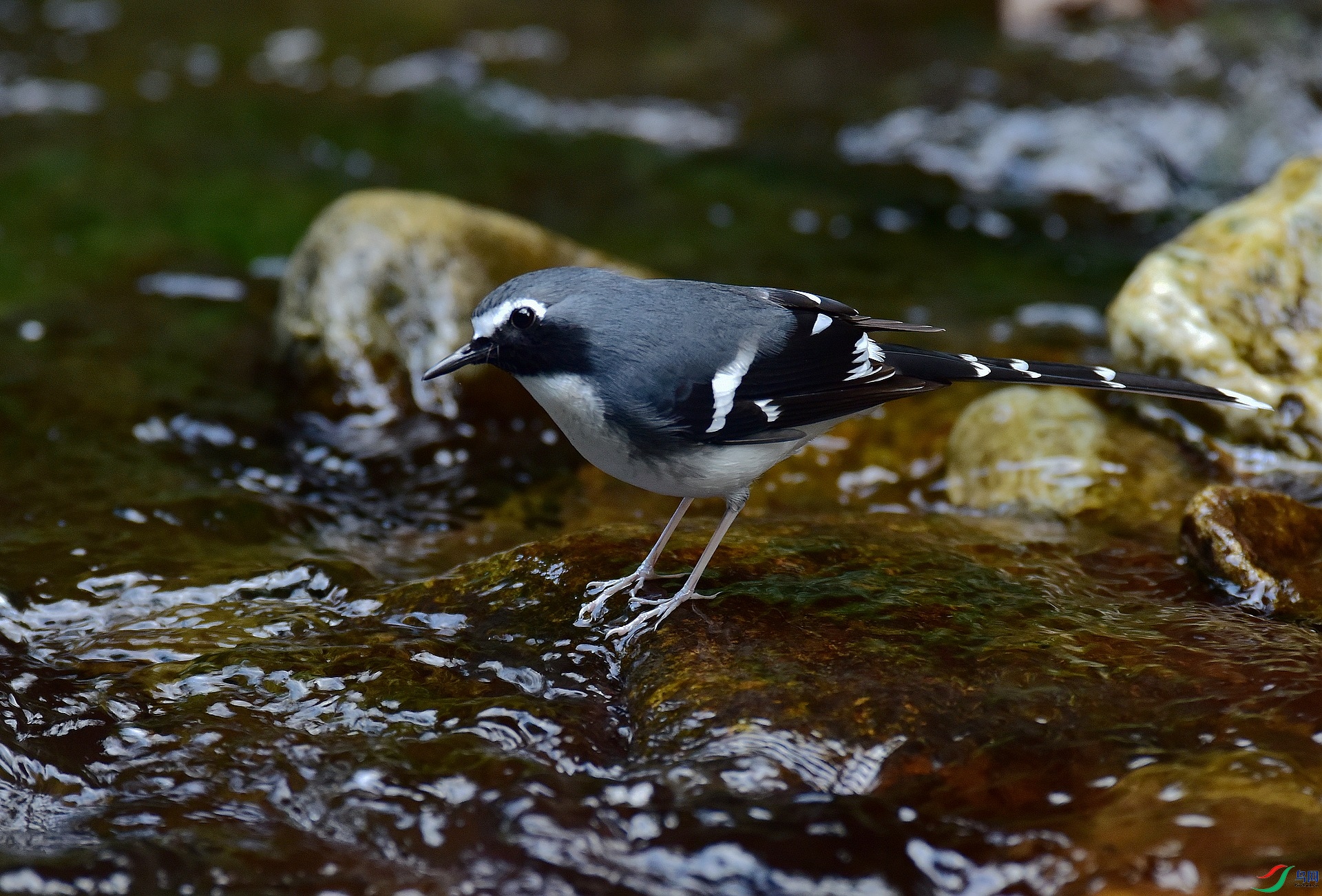 D8I_6655.jpg