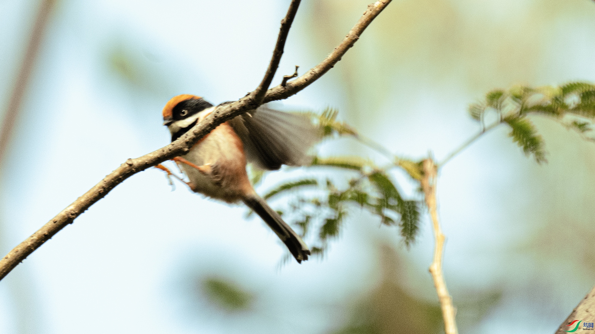 DSC_7275 ����.jpg