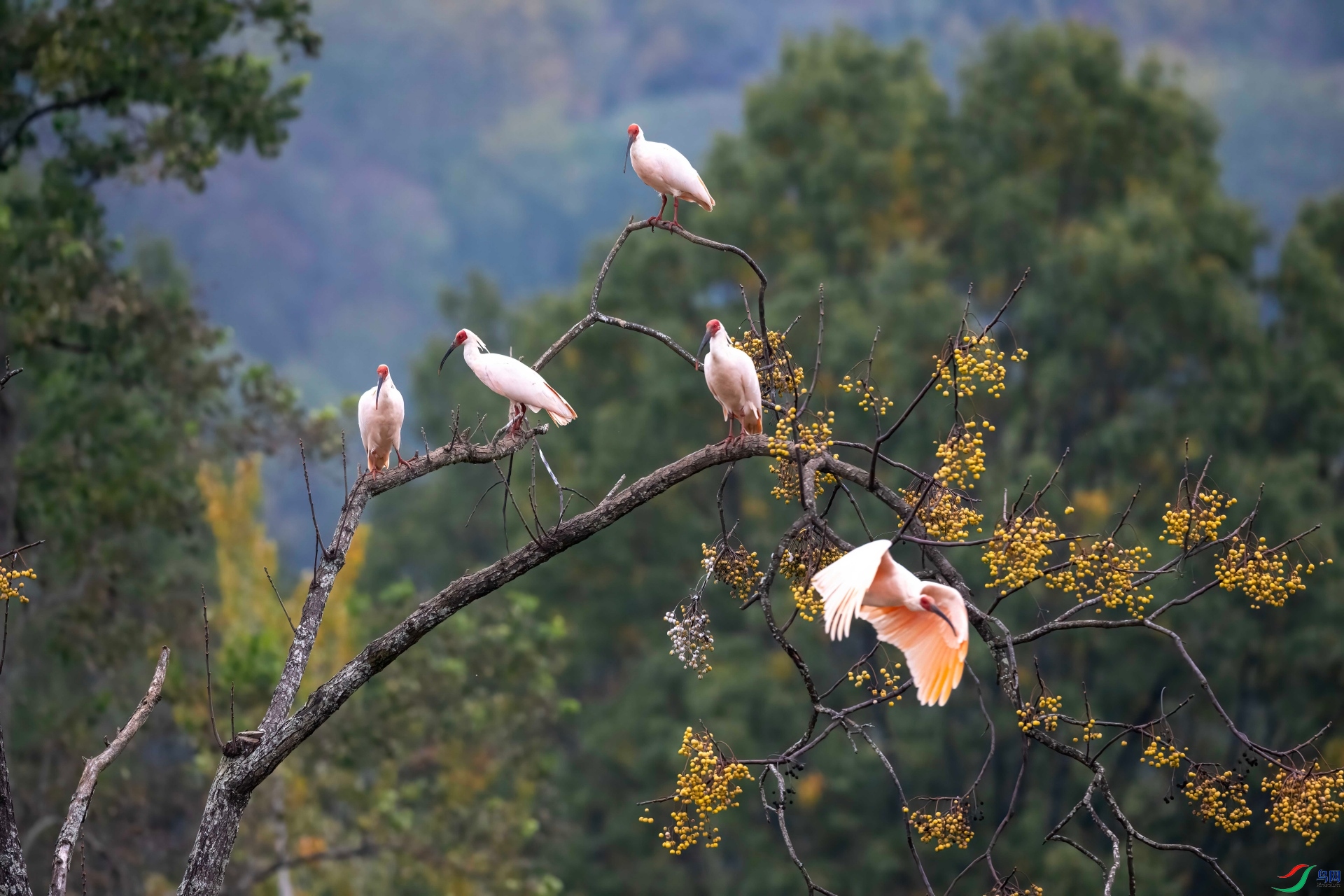 DSC_7383 ����(2).jpg