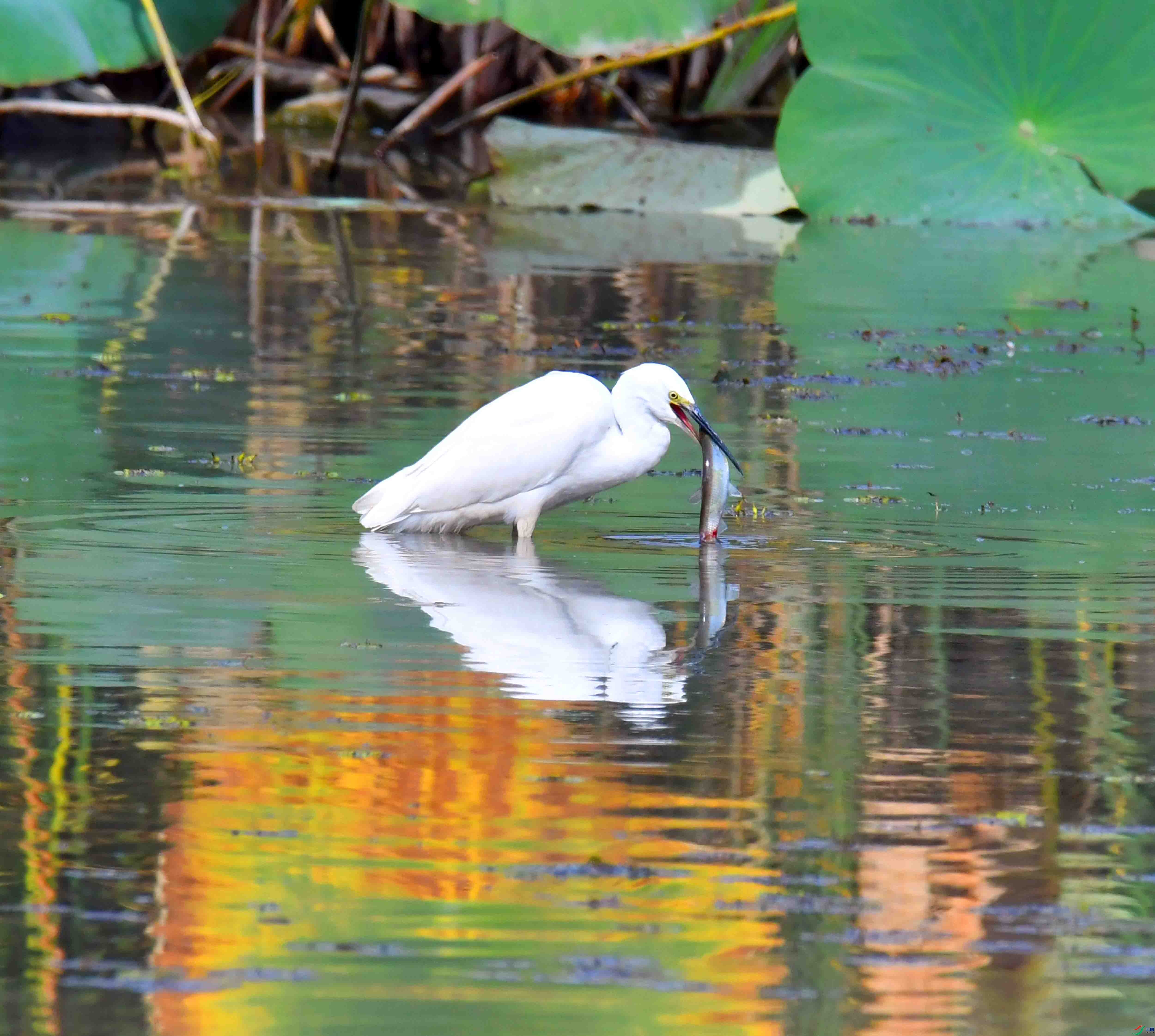DSC_5616.JPG