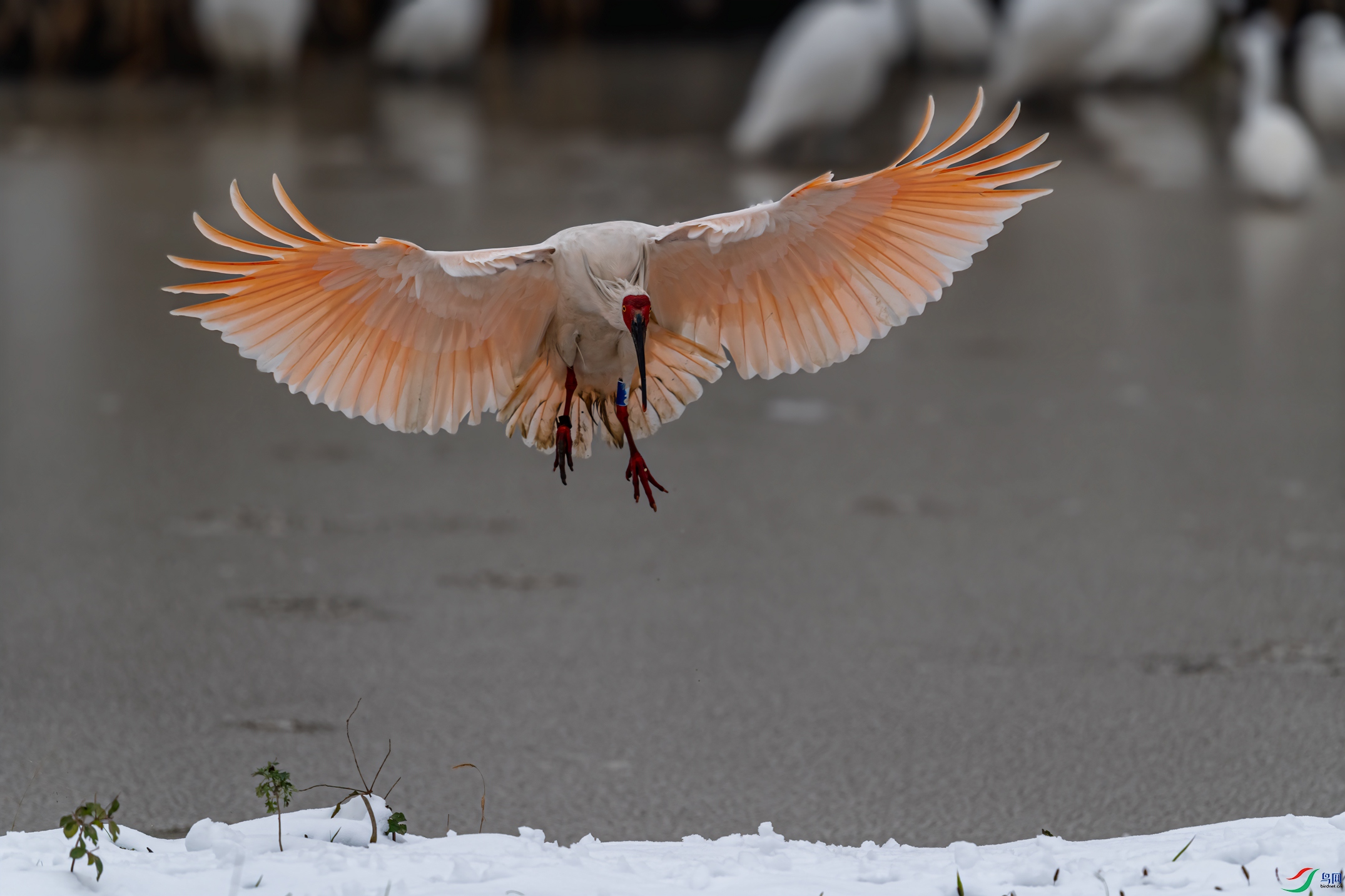 DSC_0189-11.jpg