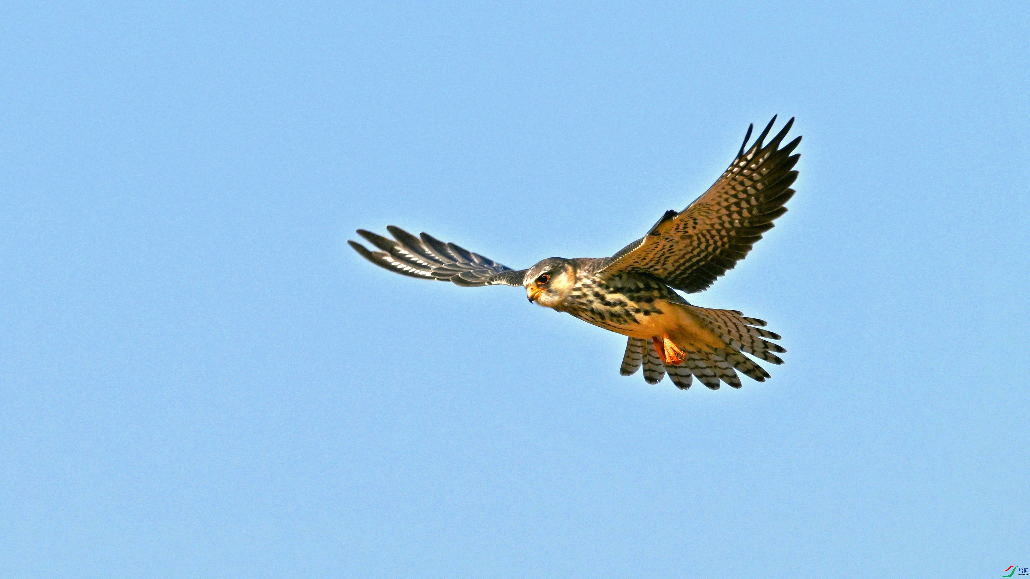 DSC_5085.JPG