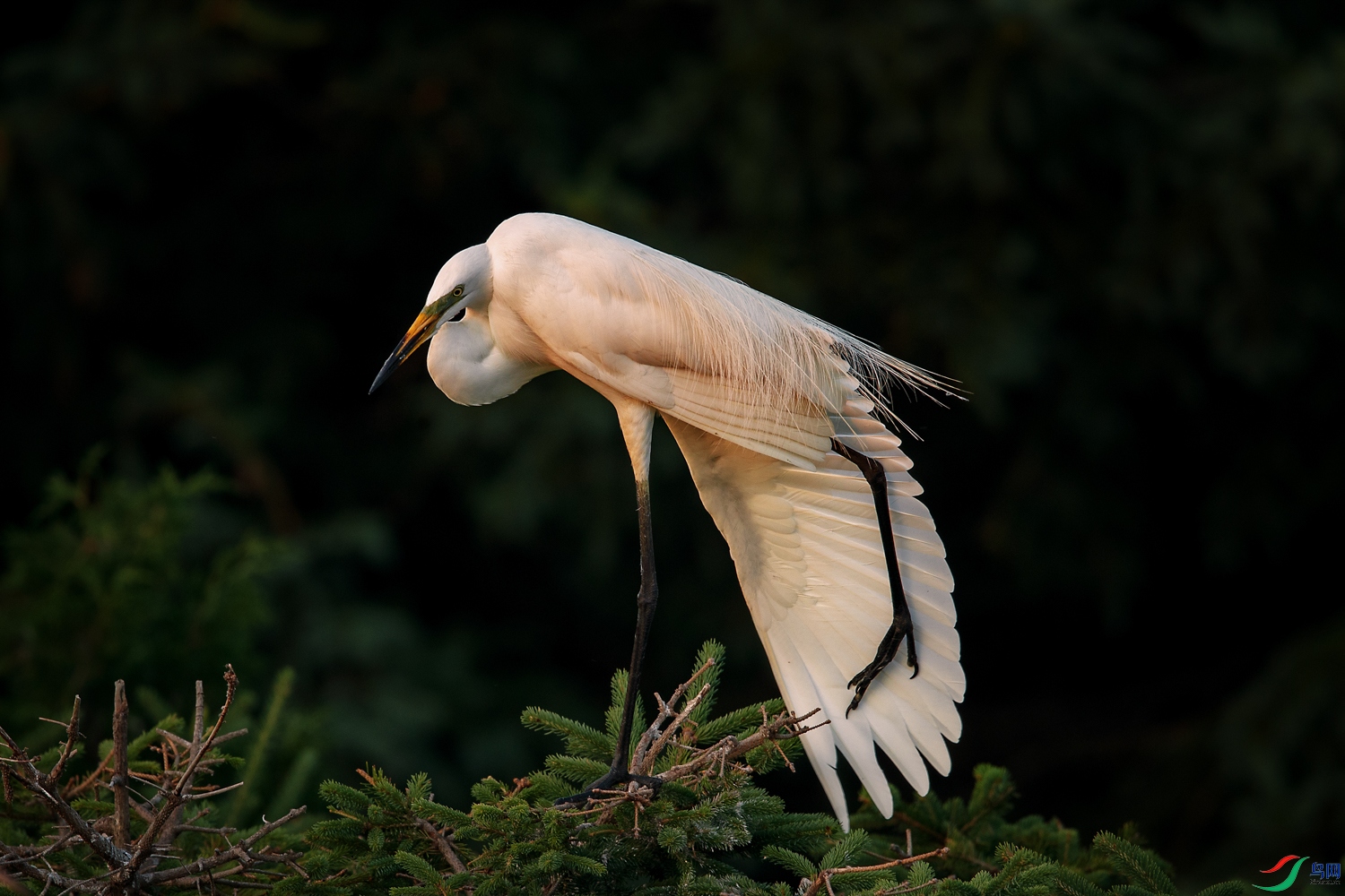 AQ9I0917 ����.jpg