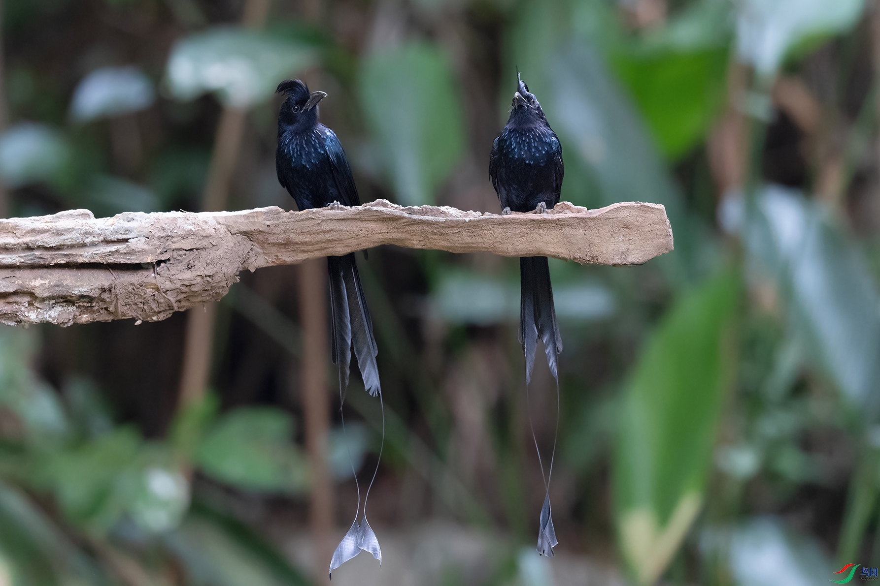 DSC_5668_DxOa.jpg