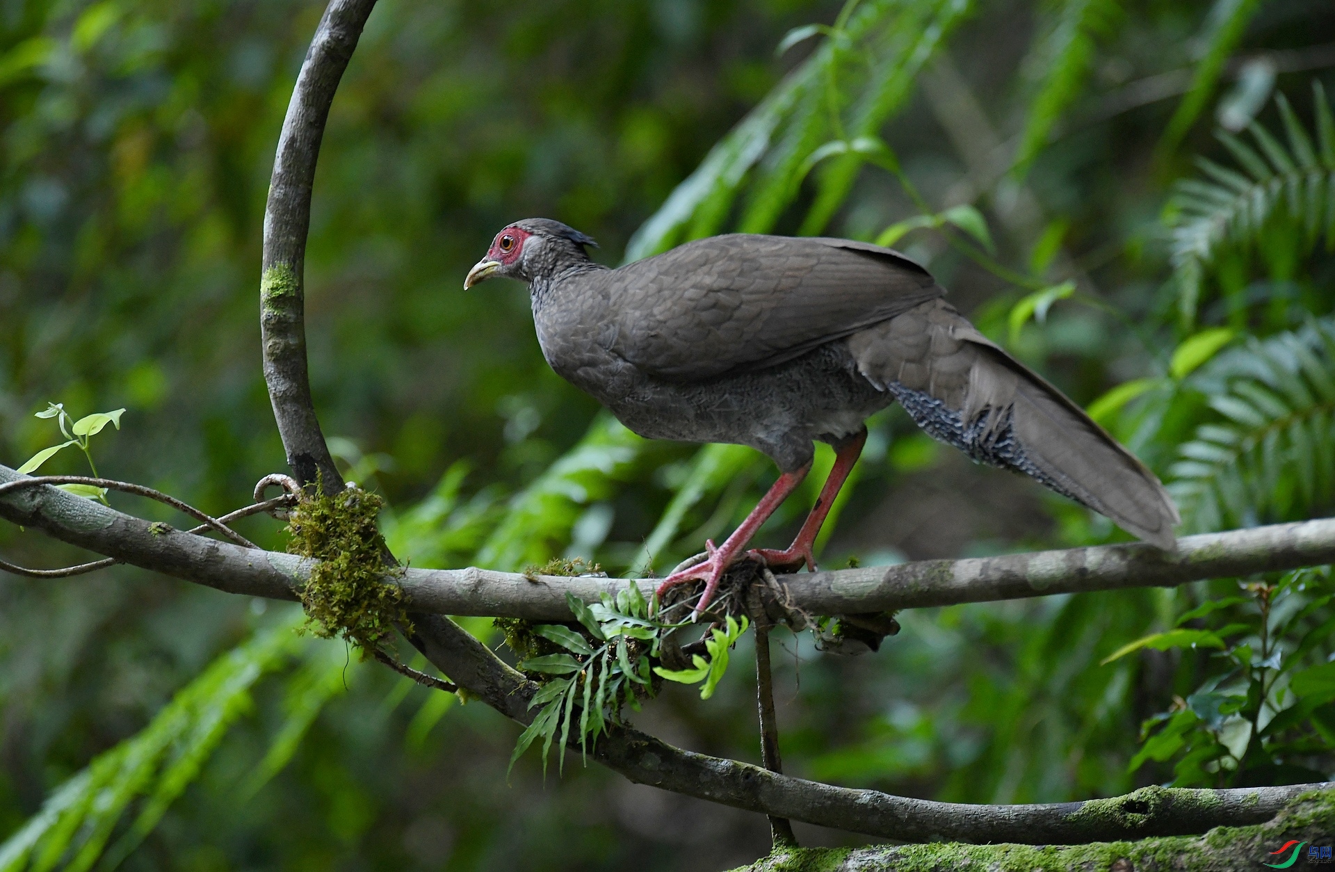 DSC_8818.jpg