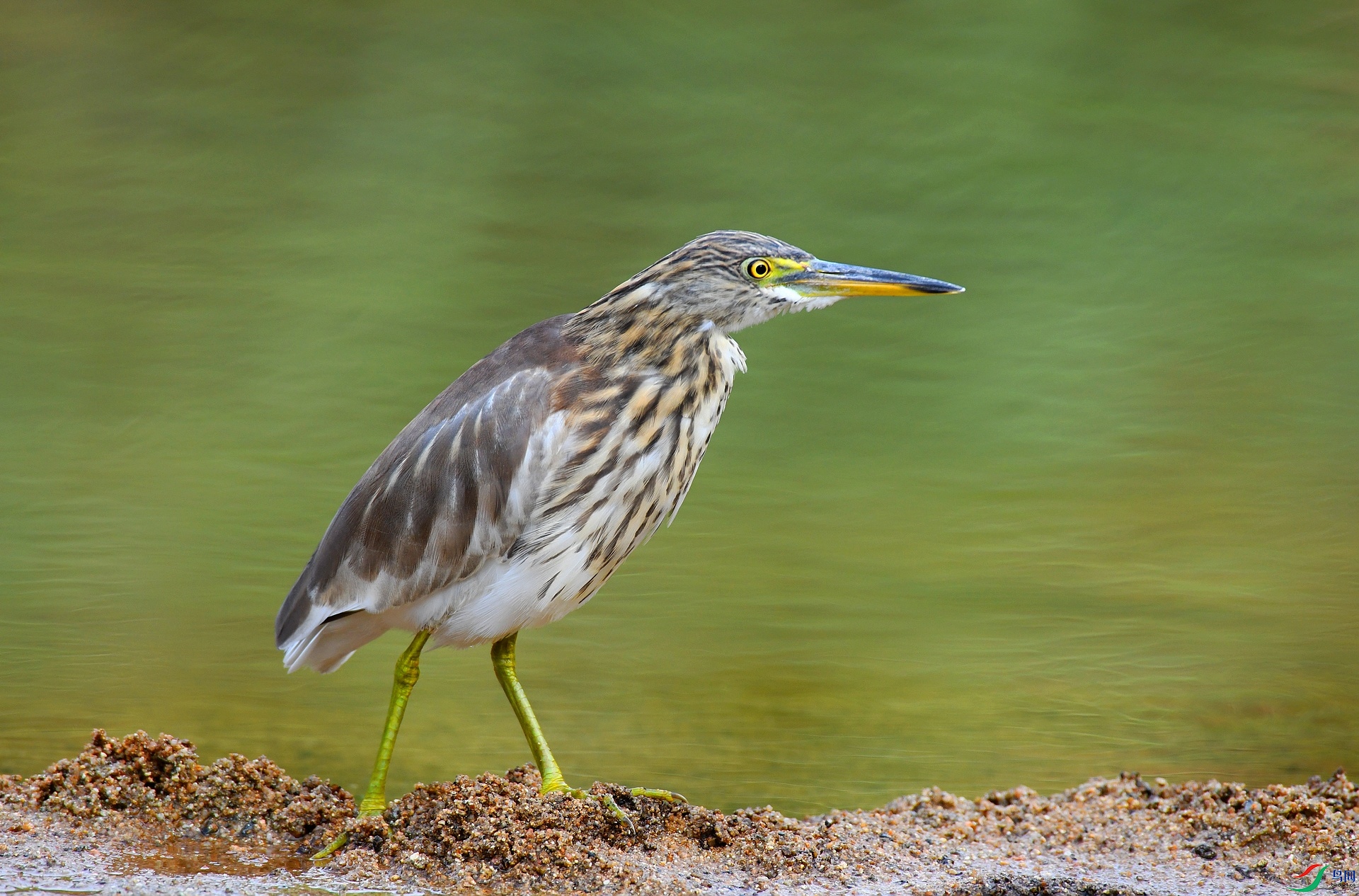 DSC_8156.jpg