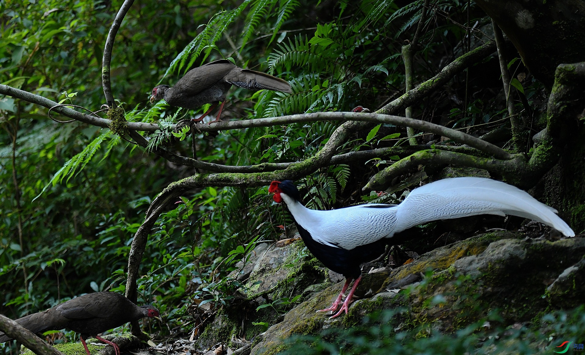 DSC_8807.jpg