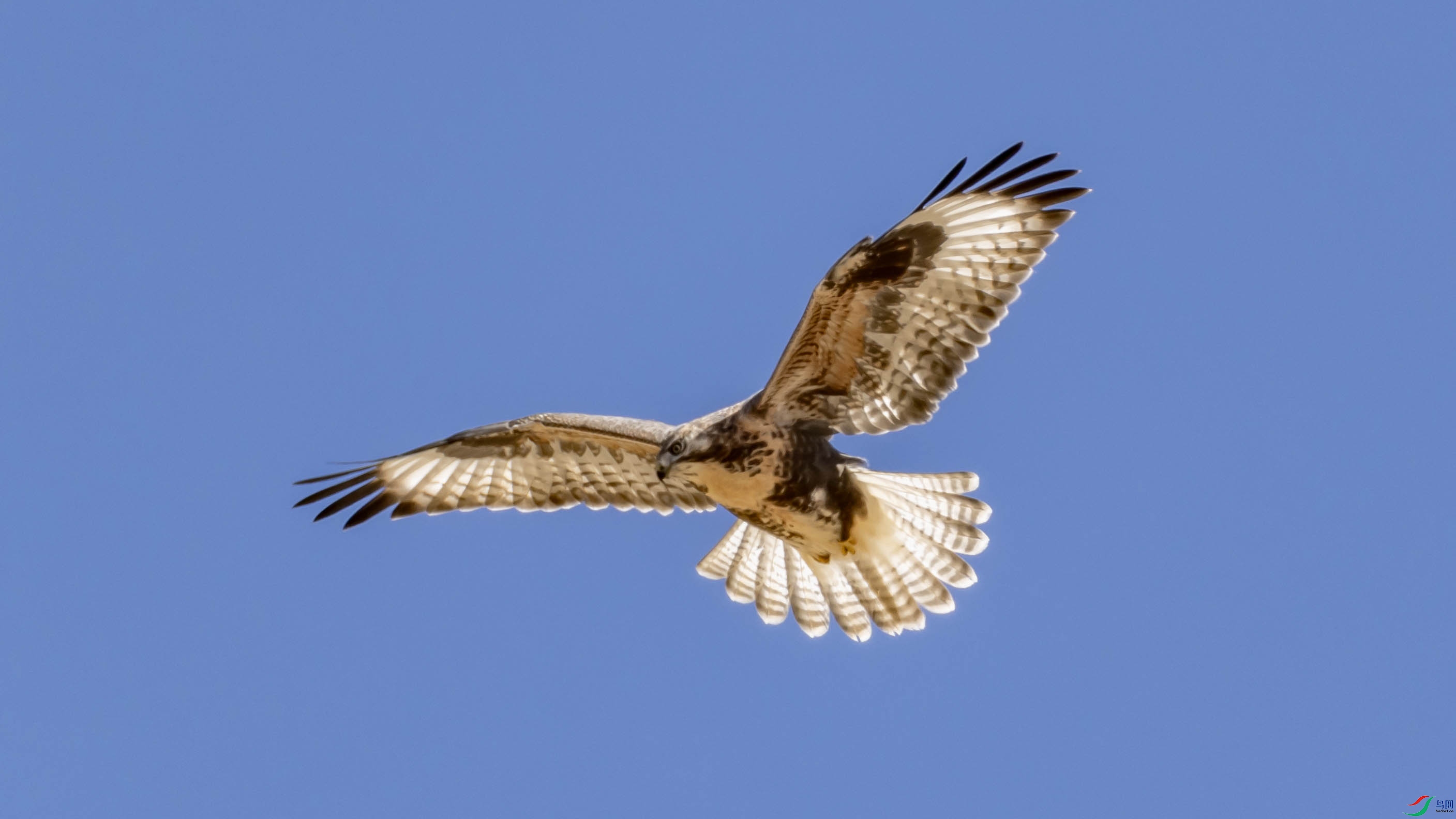 4K2A5520 ���OK.jpg