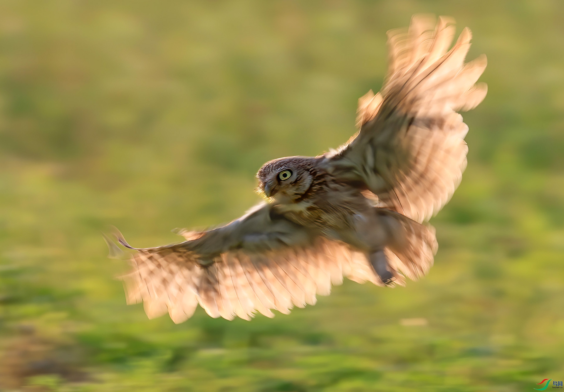 ����С�^��Ӱ E8A6015------33.jpg