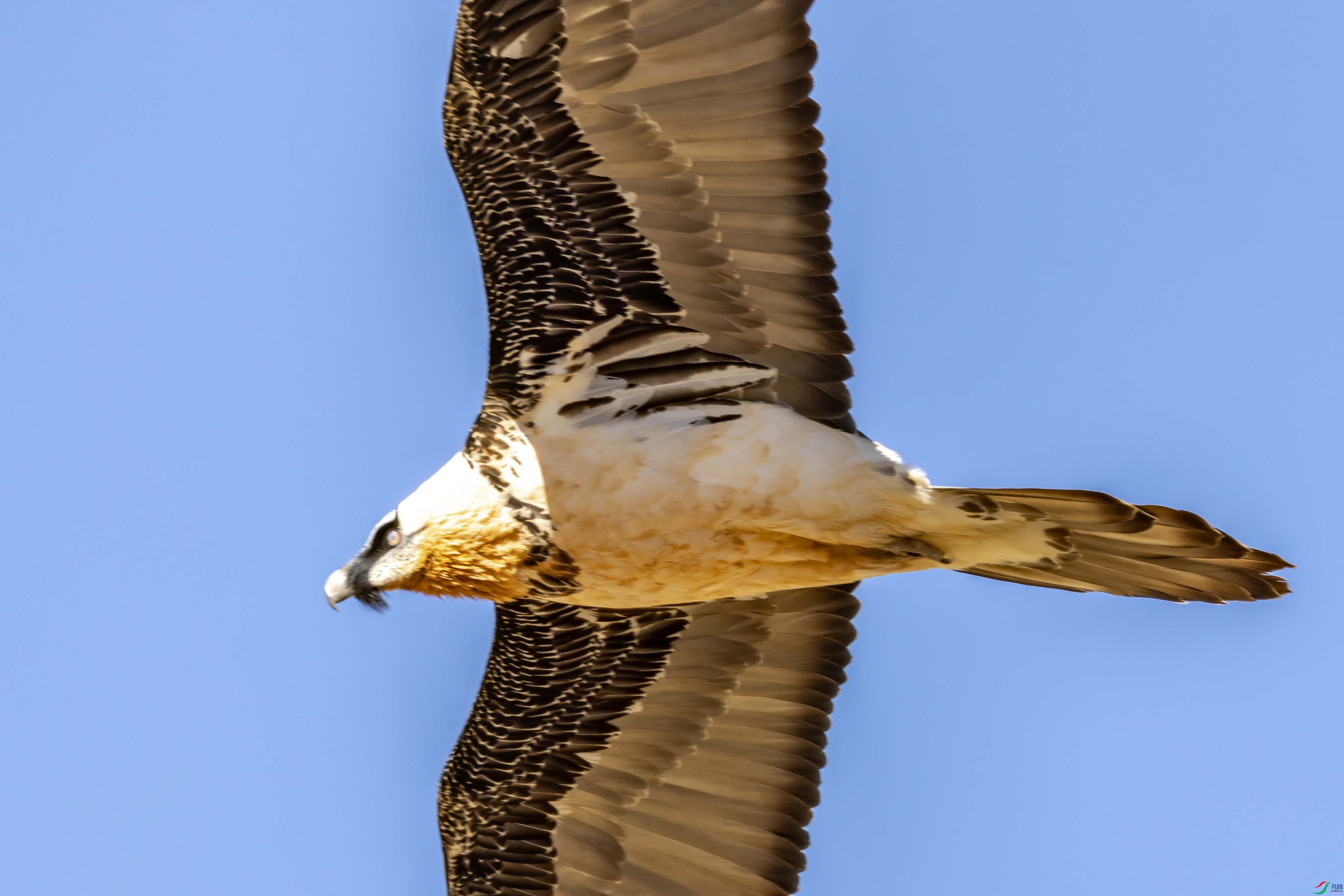 4K2A5488 ��أ��1.jpg