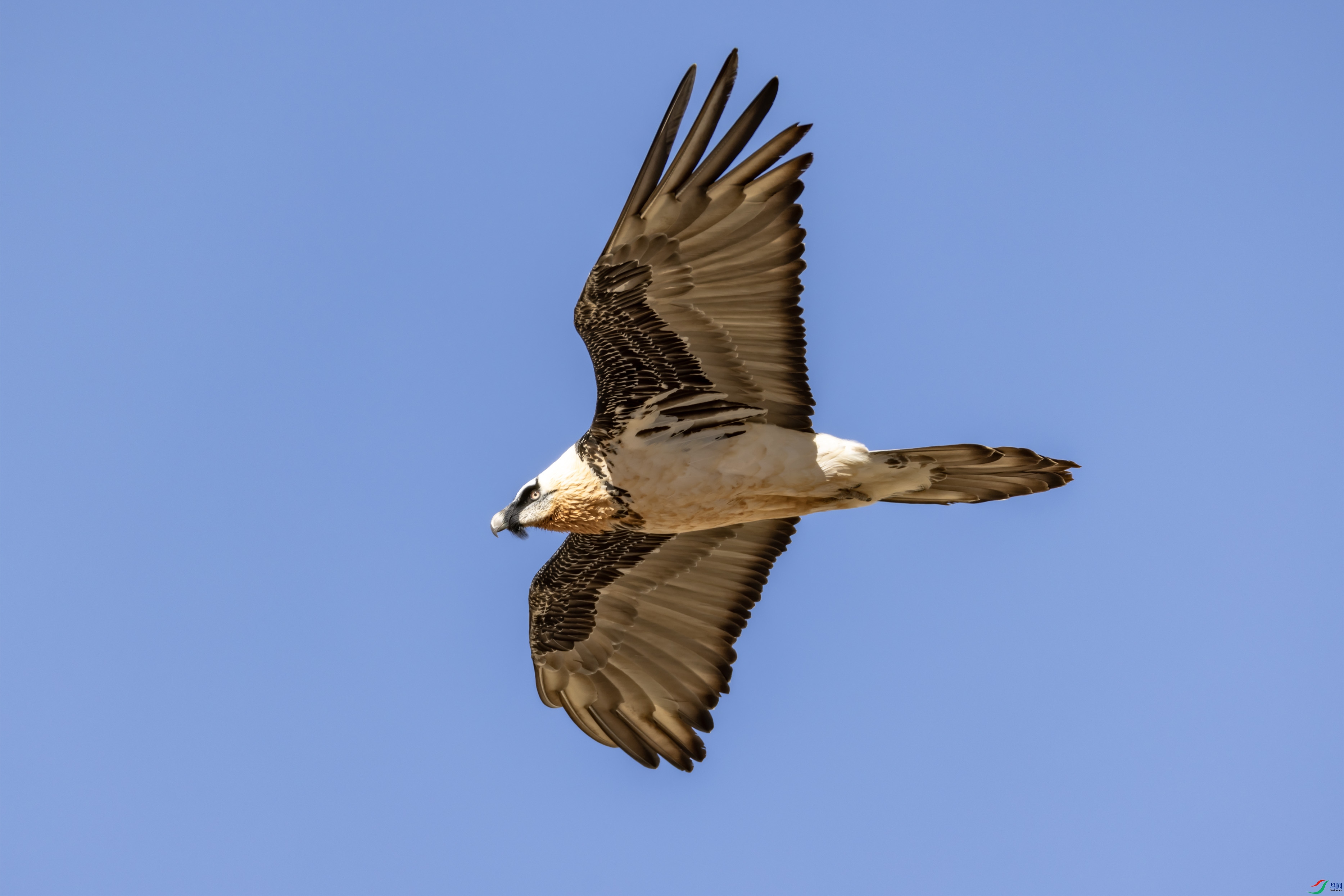 4K2A5486 ��أ��OK.jpg