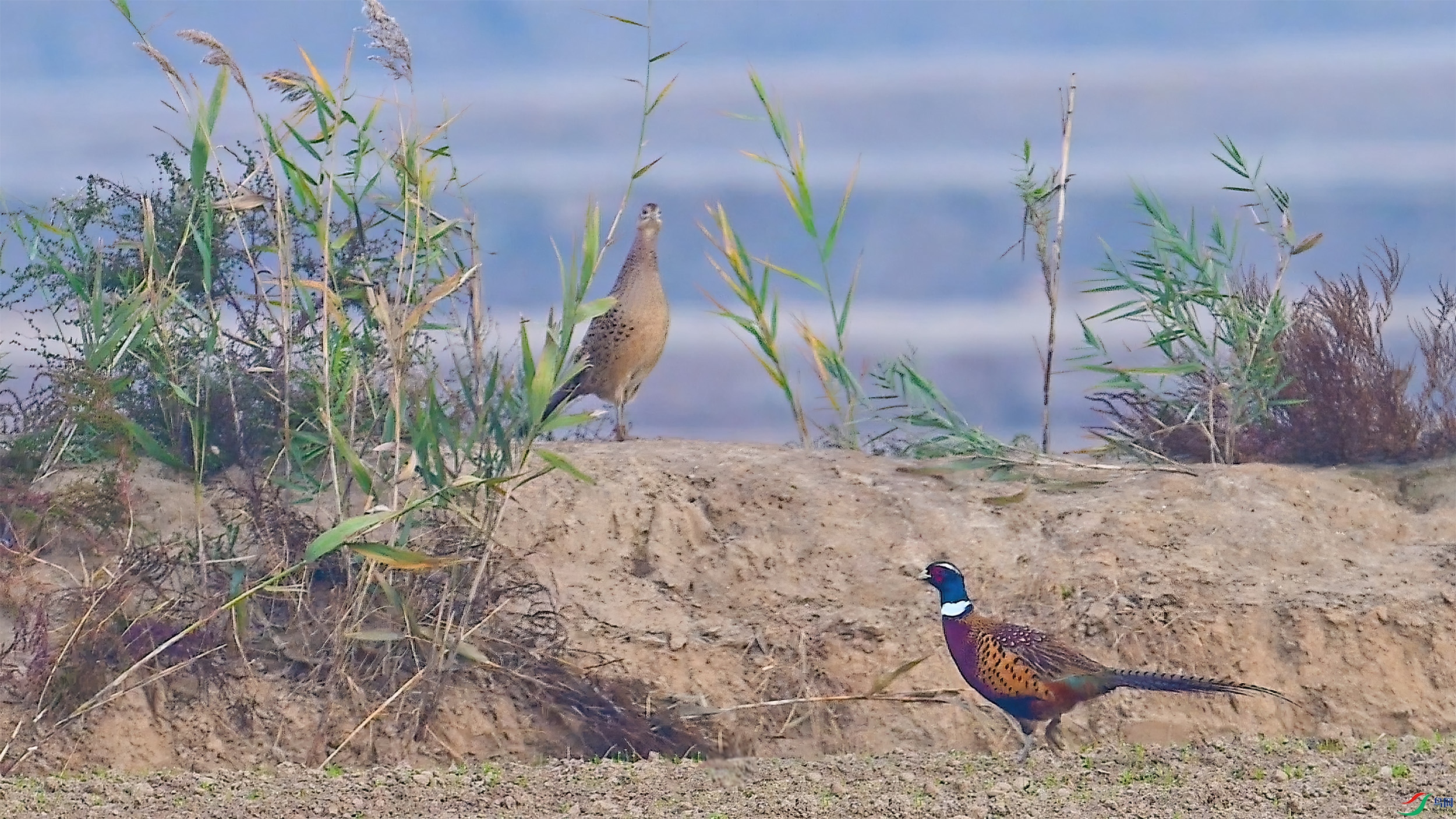 11��7�� (2)(2).jpg