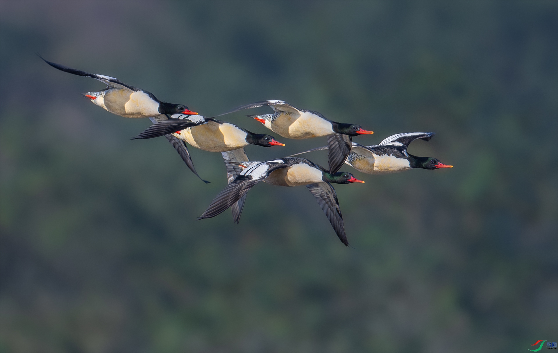 ����DSC_5815.jpg