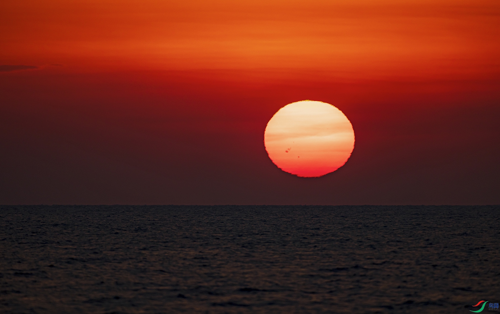 _5LM6255a.jpg