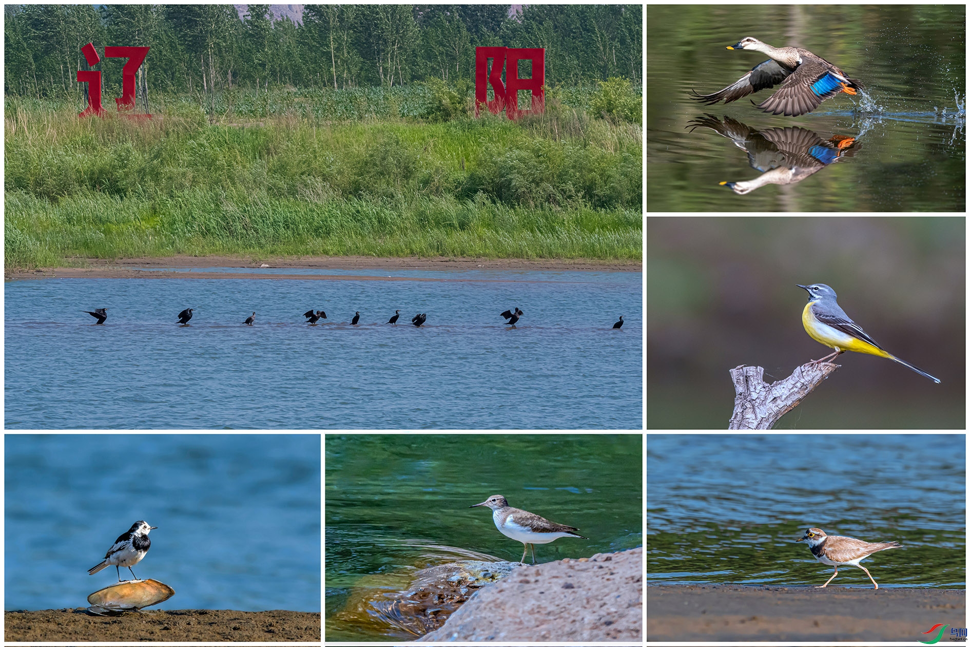 ��ˮ���� ��Ӱ ��Ԫ ����.jpg