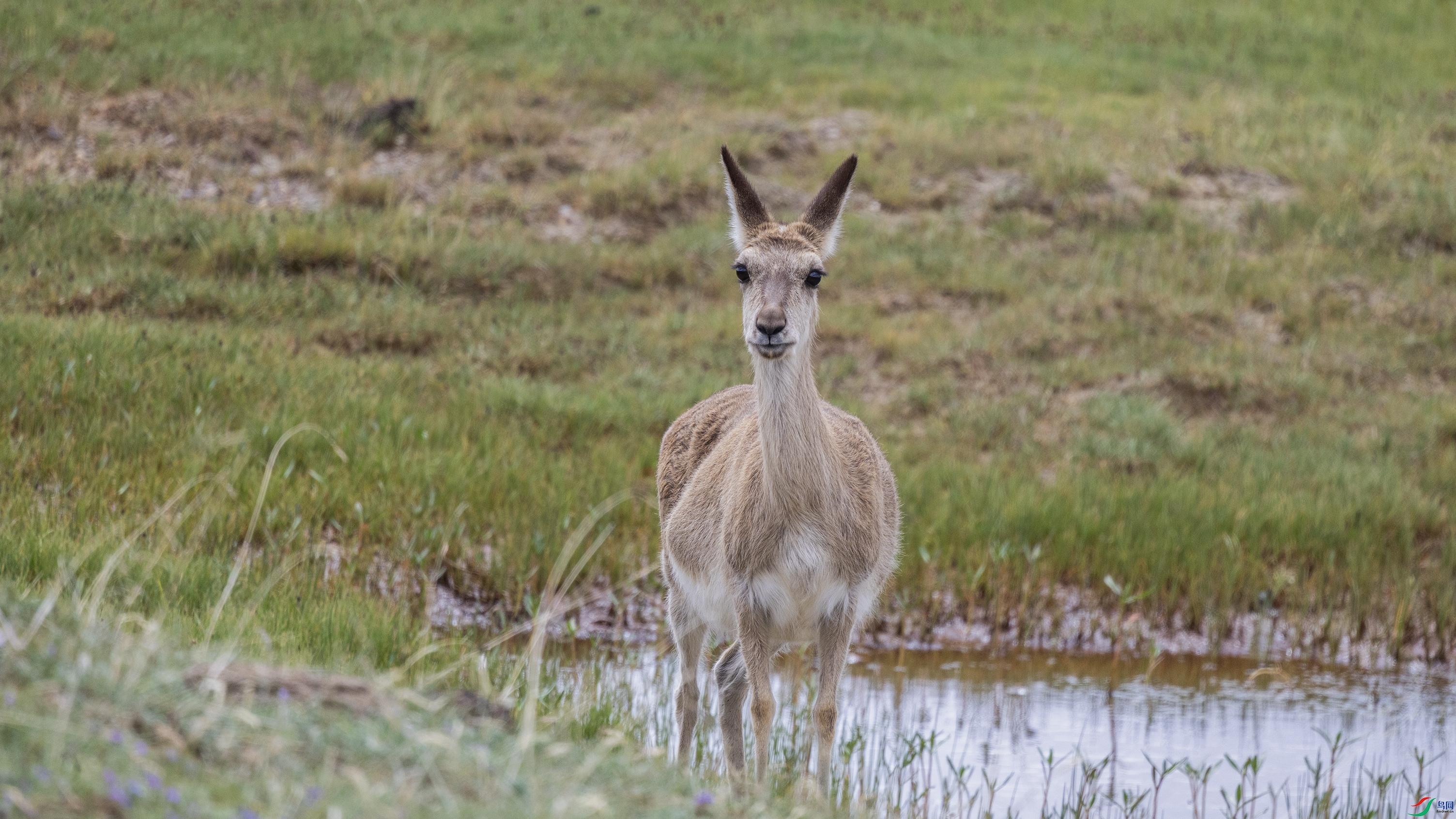 7X5A5582 ����.jpg