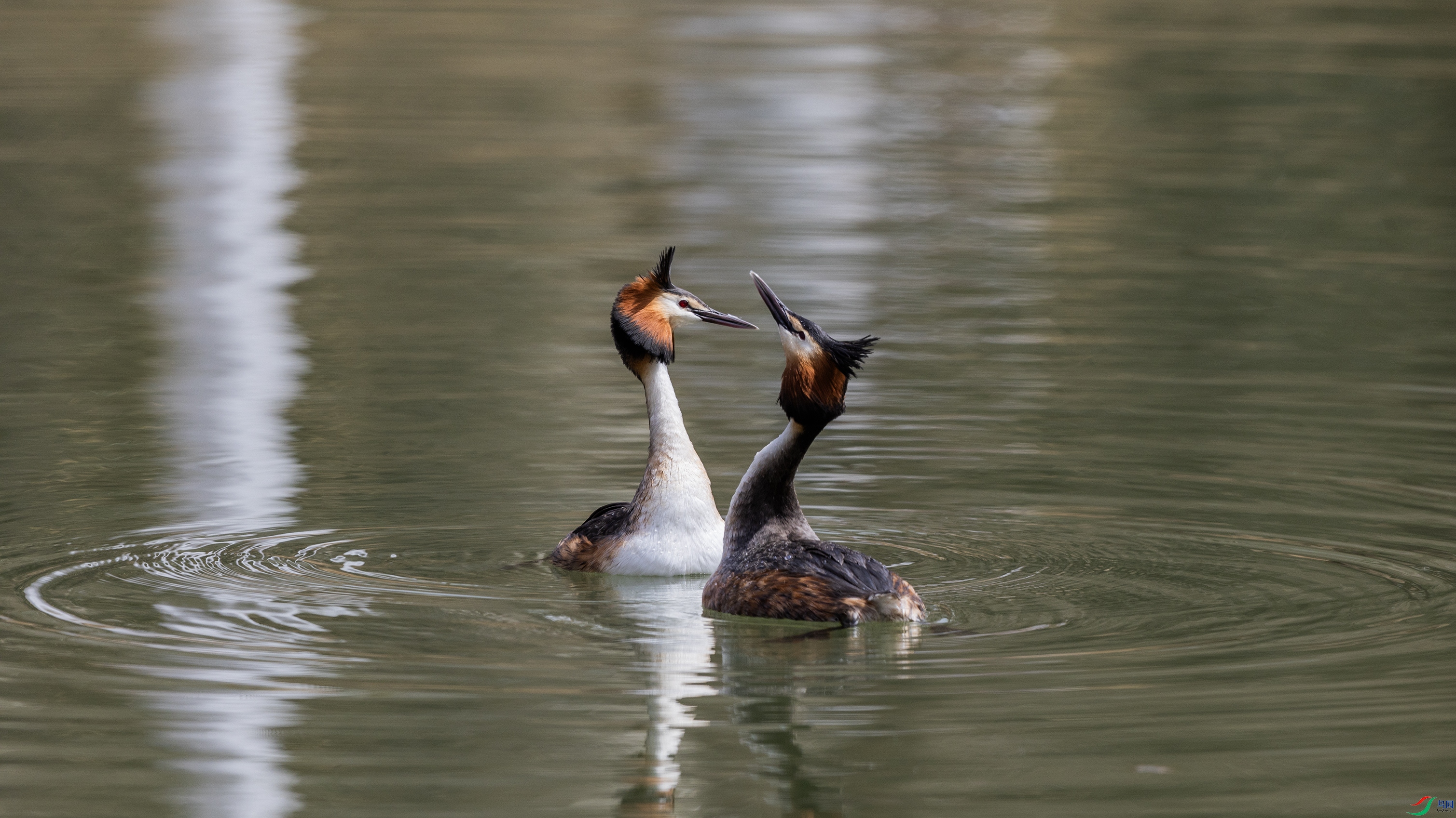 _O7A9541 ����444.jpg