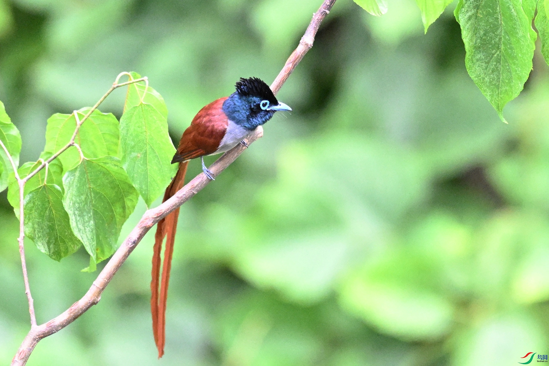 DSC_7519.JPG
