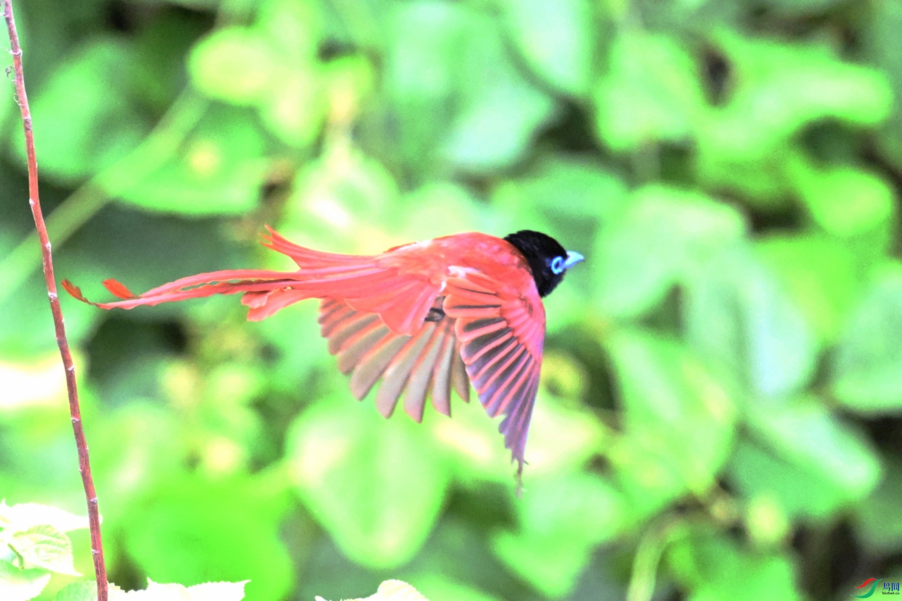 DSC_7789.JPG
