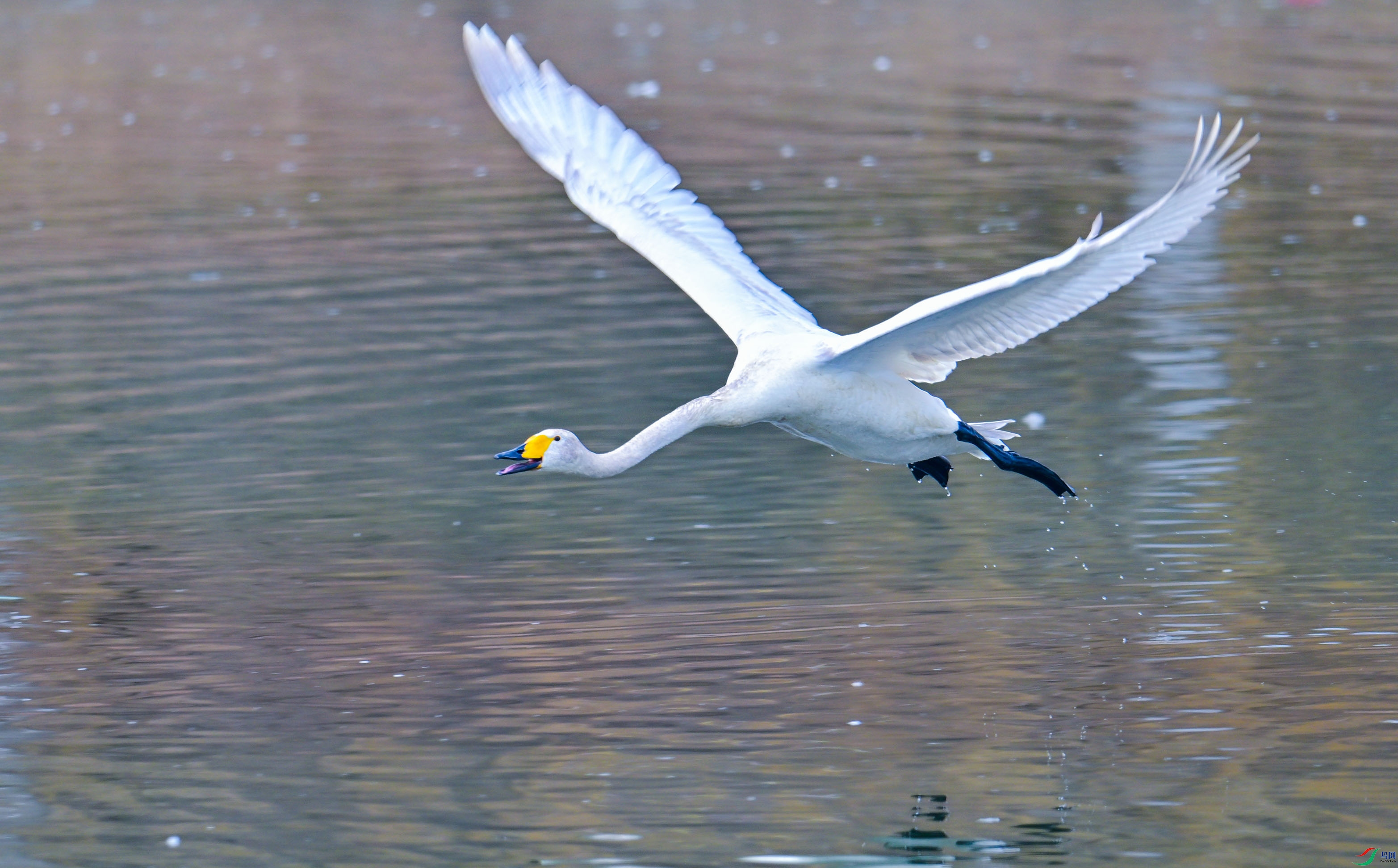 DSC_9136.jpg