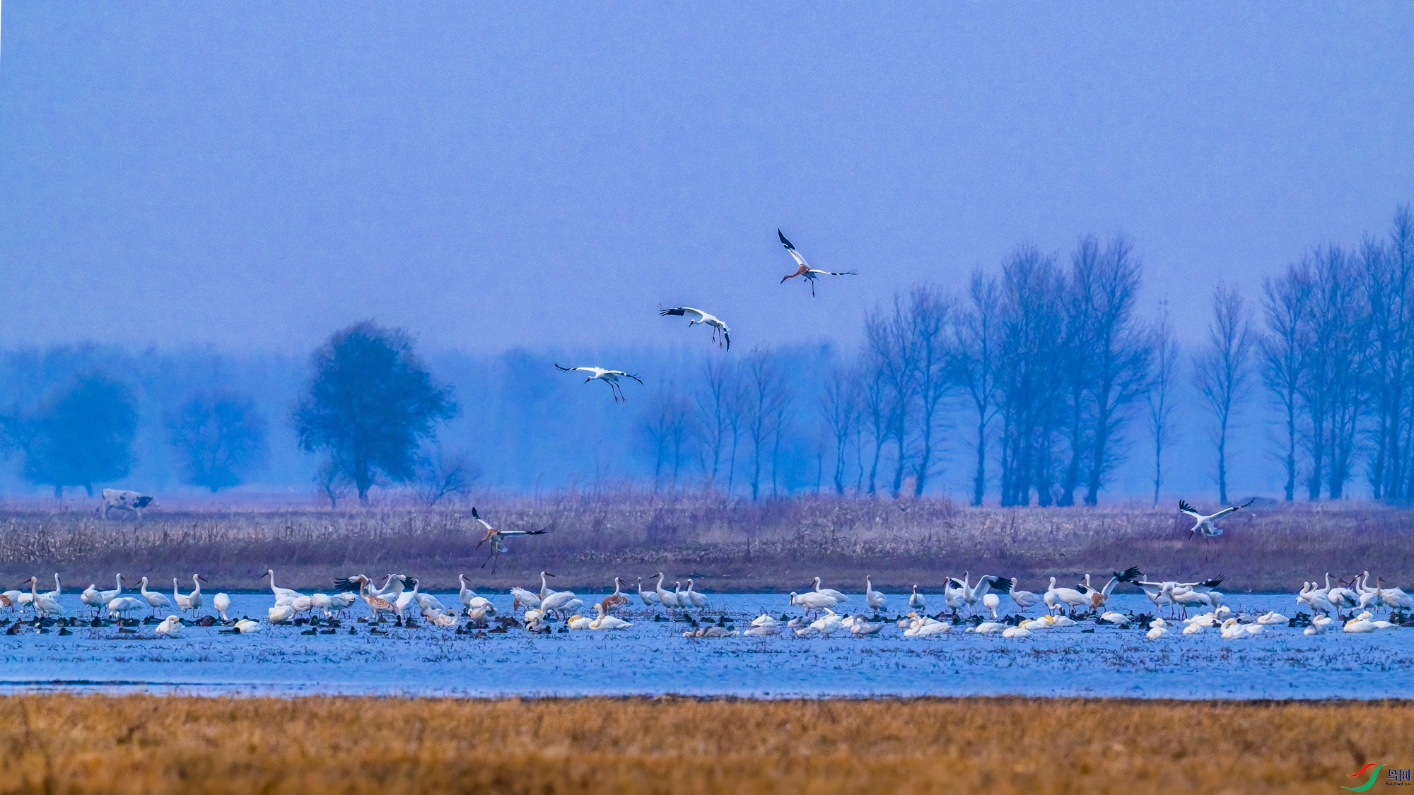 DSC_0089.jpg