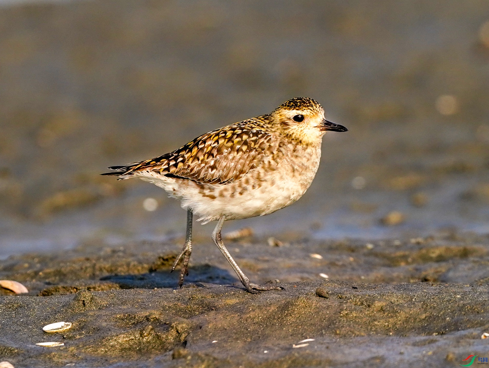 7�� ����ũ��ż������a��.jpg