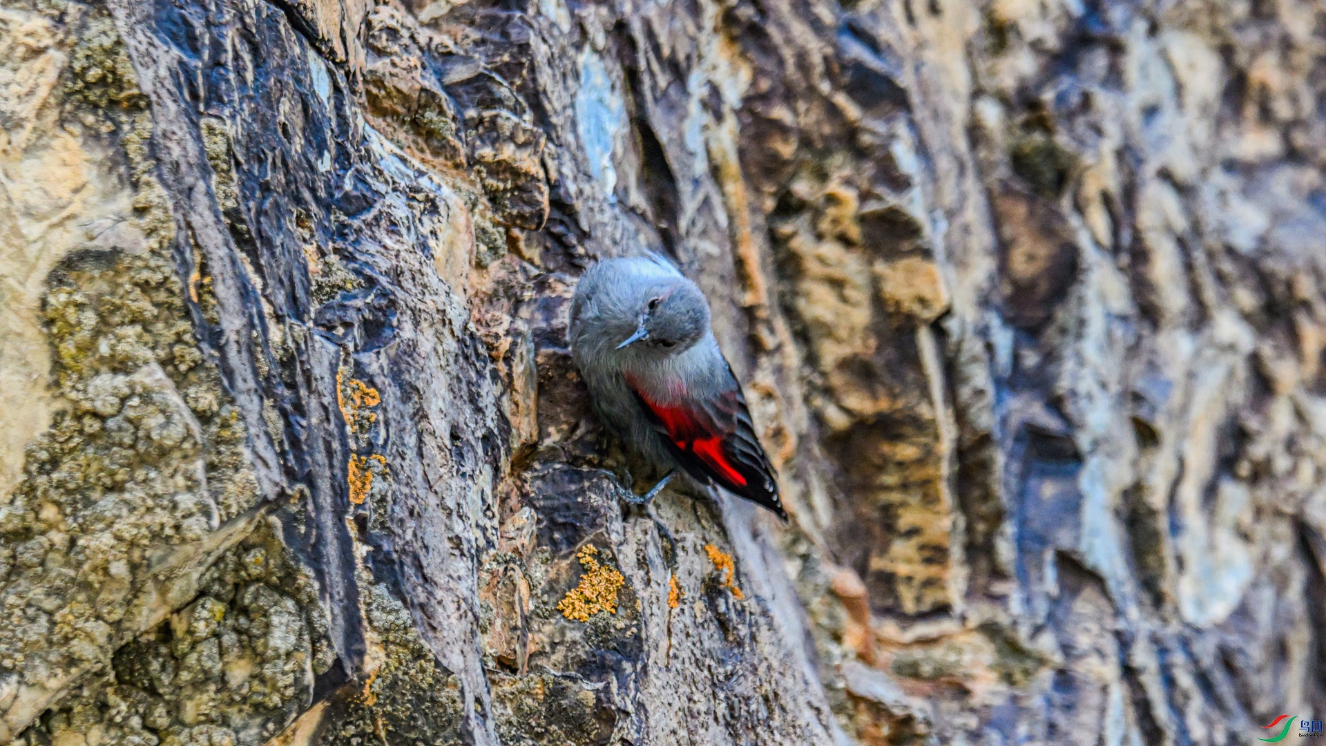 DSC_8669 ����_����.jpg