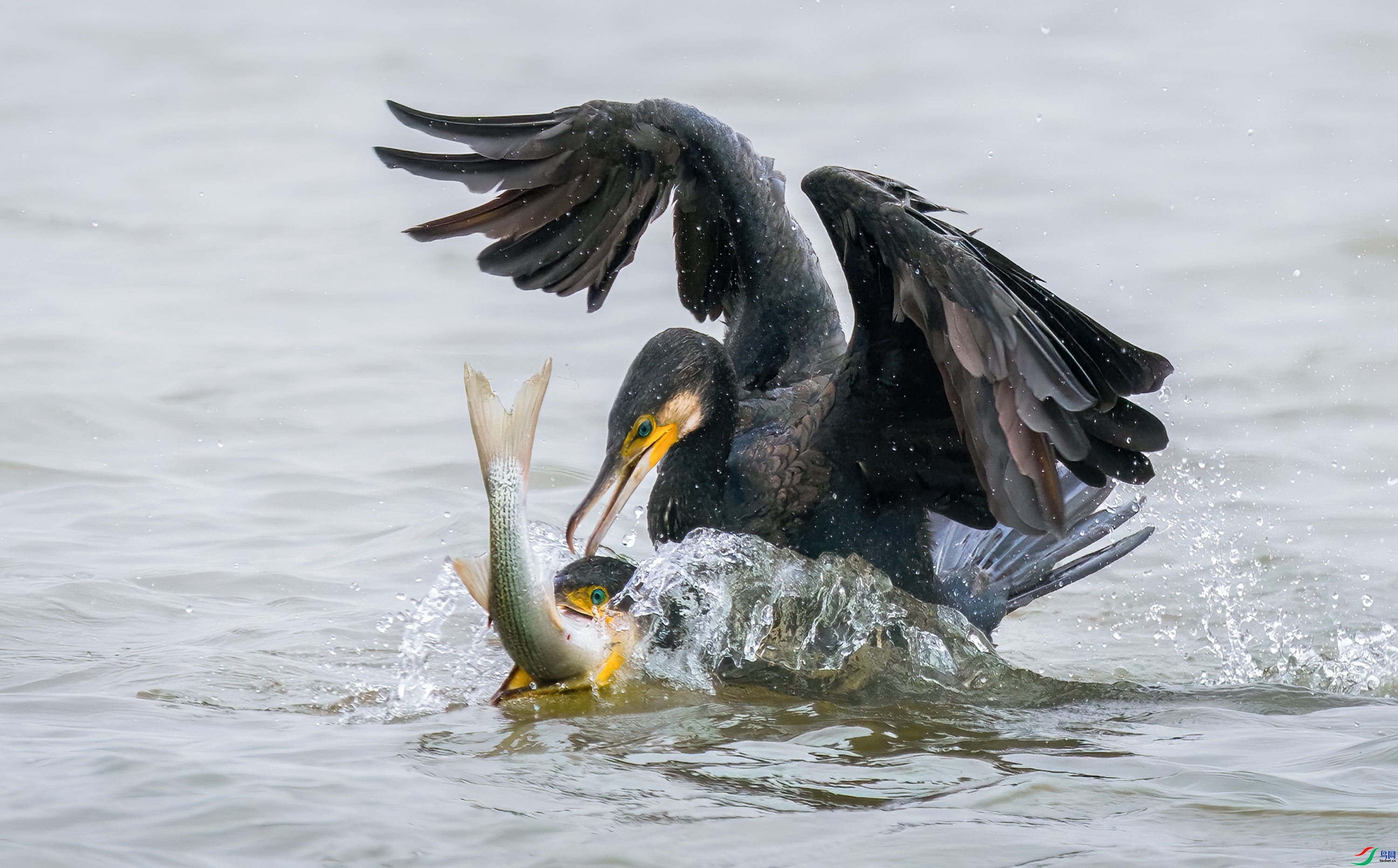 210629p5zrs5rkeiuiosoo (1).jpg