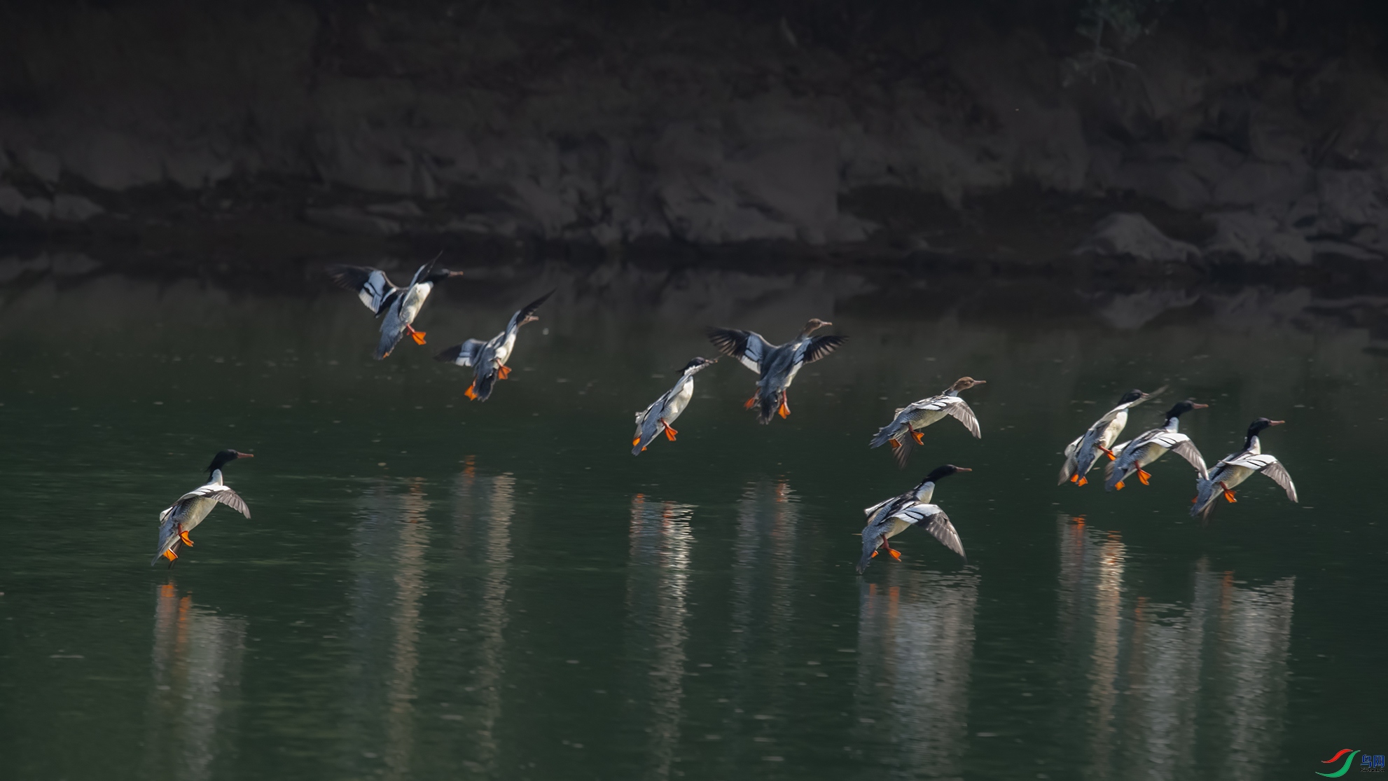 _DSC4161 ����.jpg