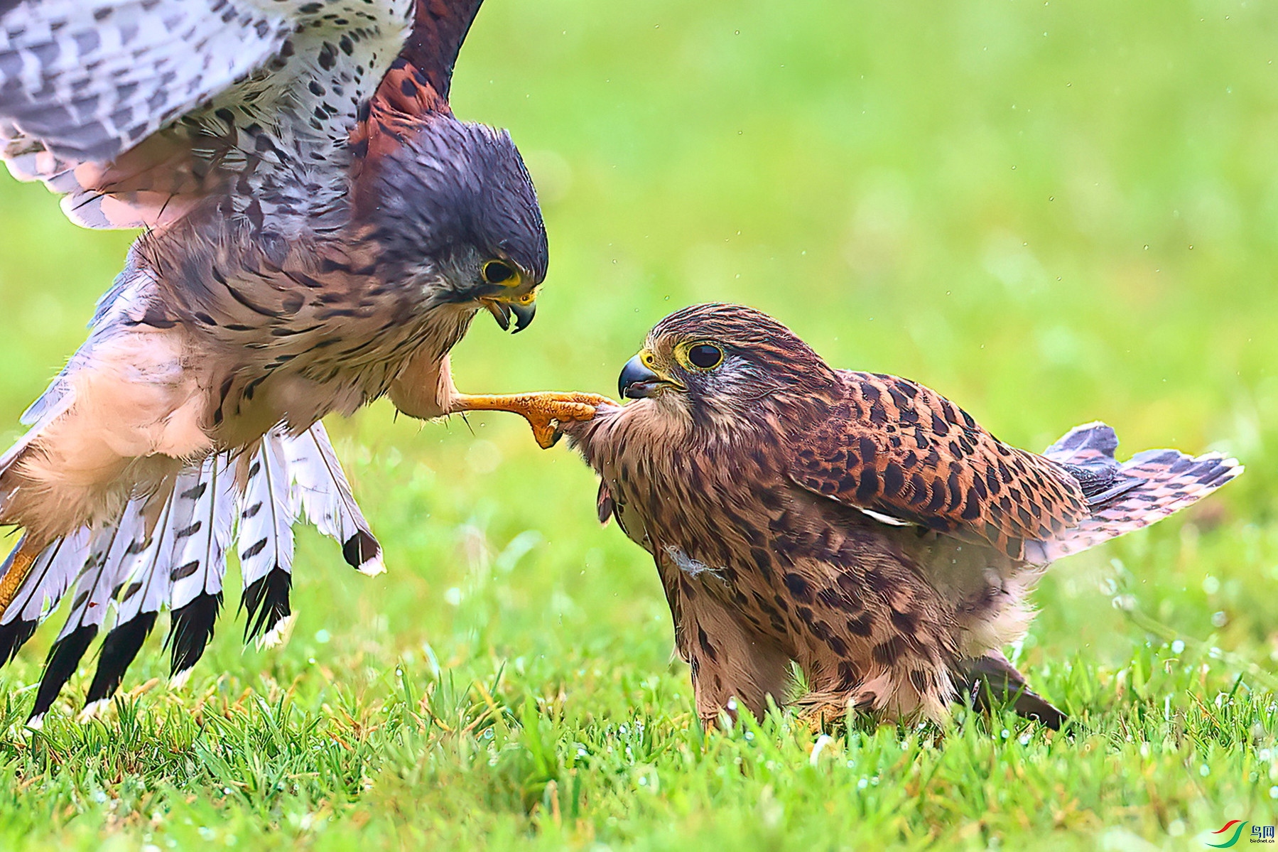 �����ϴ�