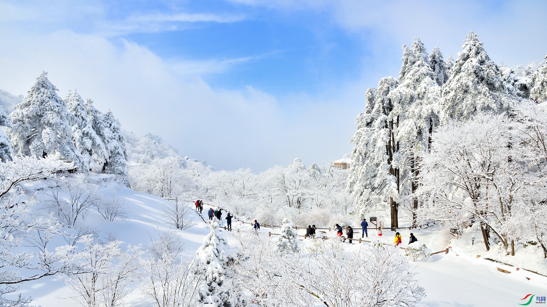 DSC_4788 ����.jpg