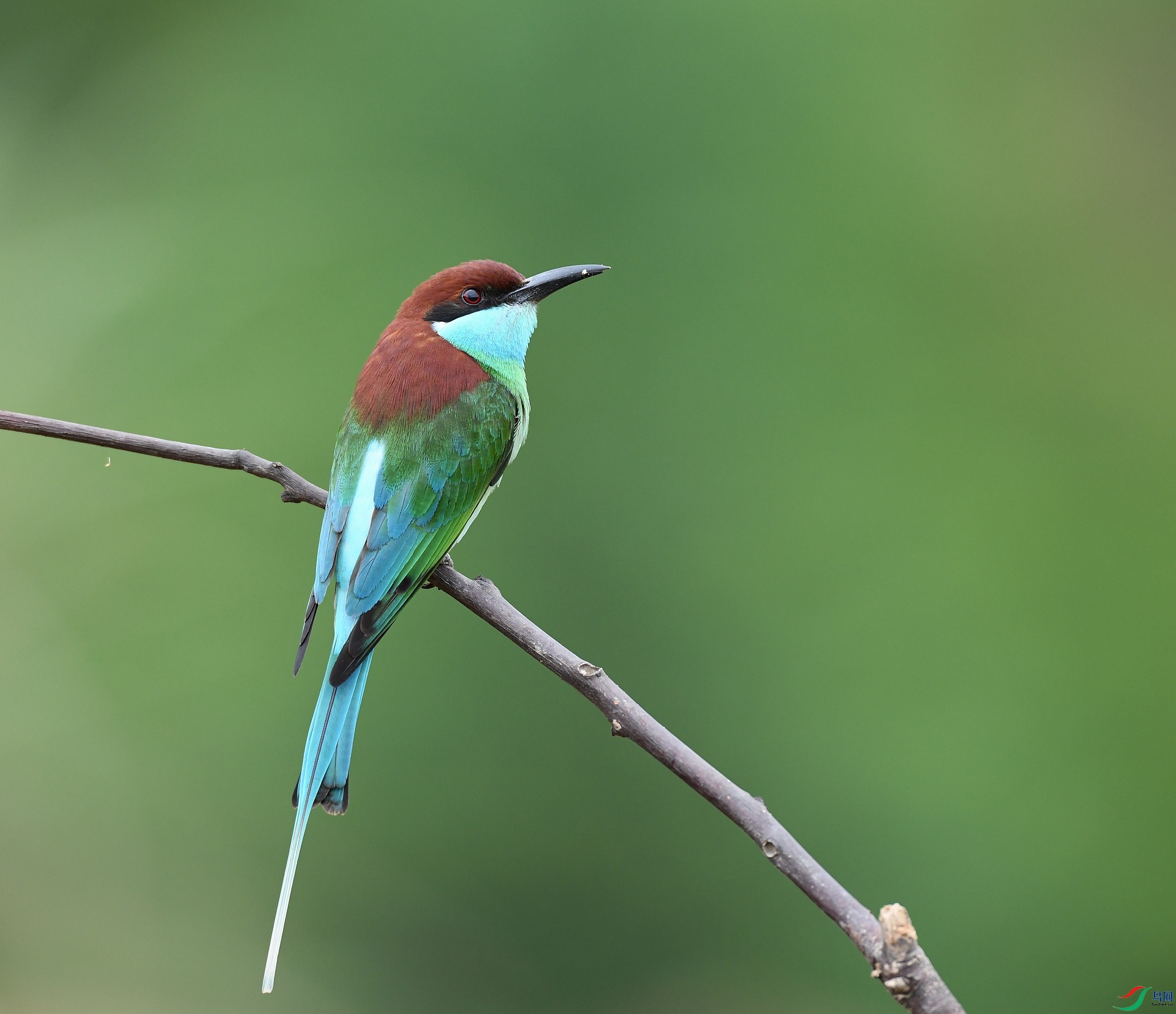 DSC_3291.jpg