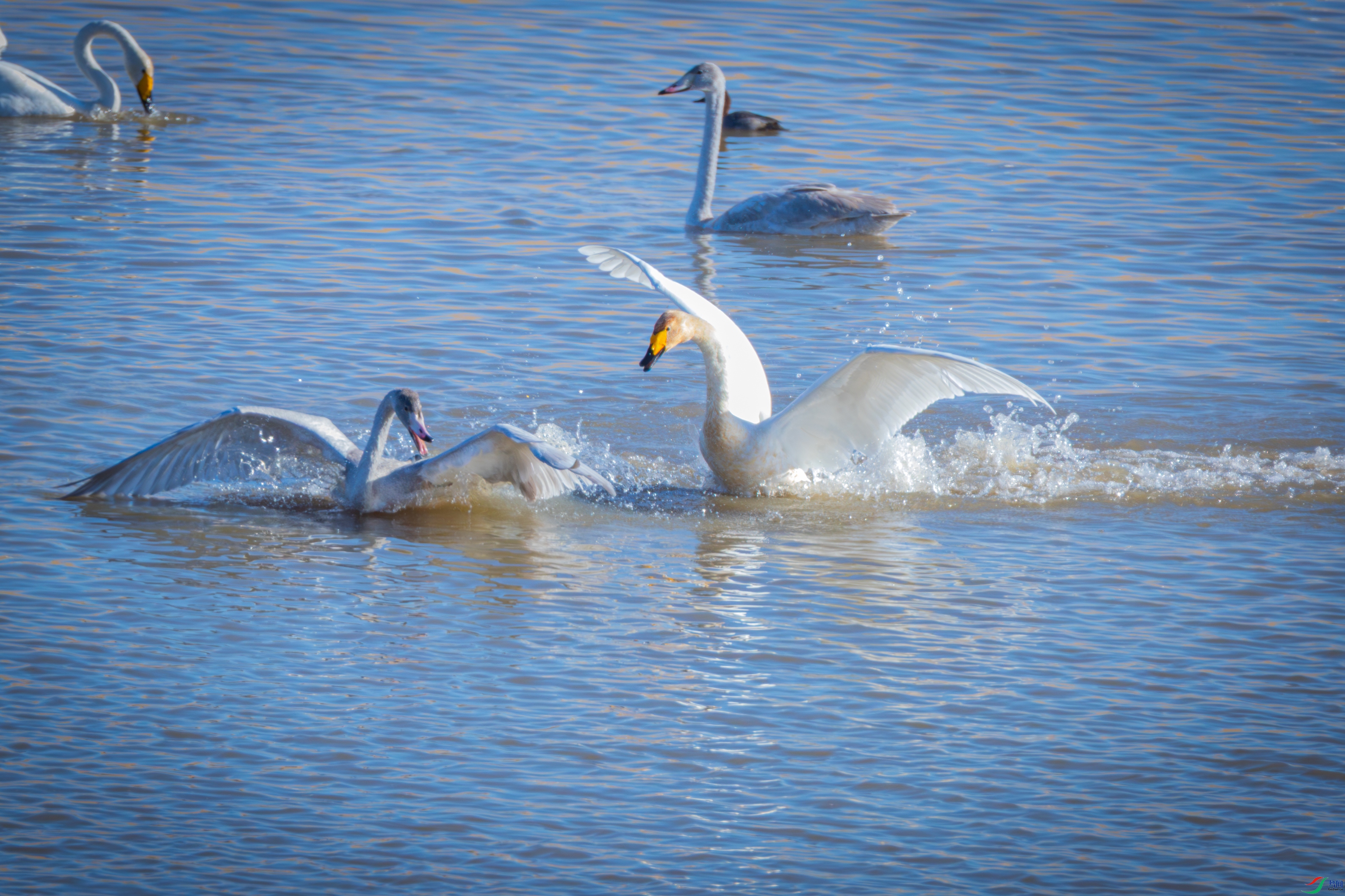 ���㲻������2