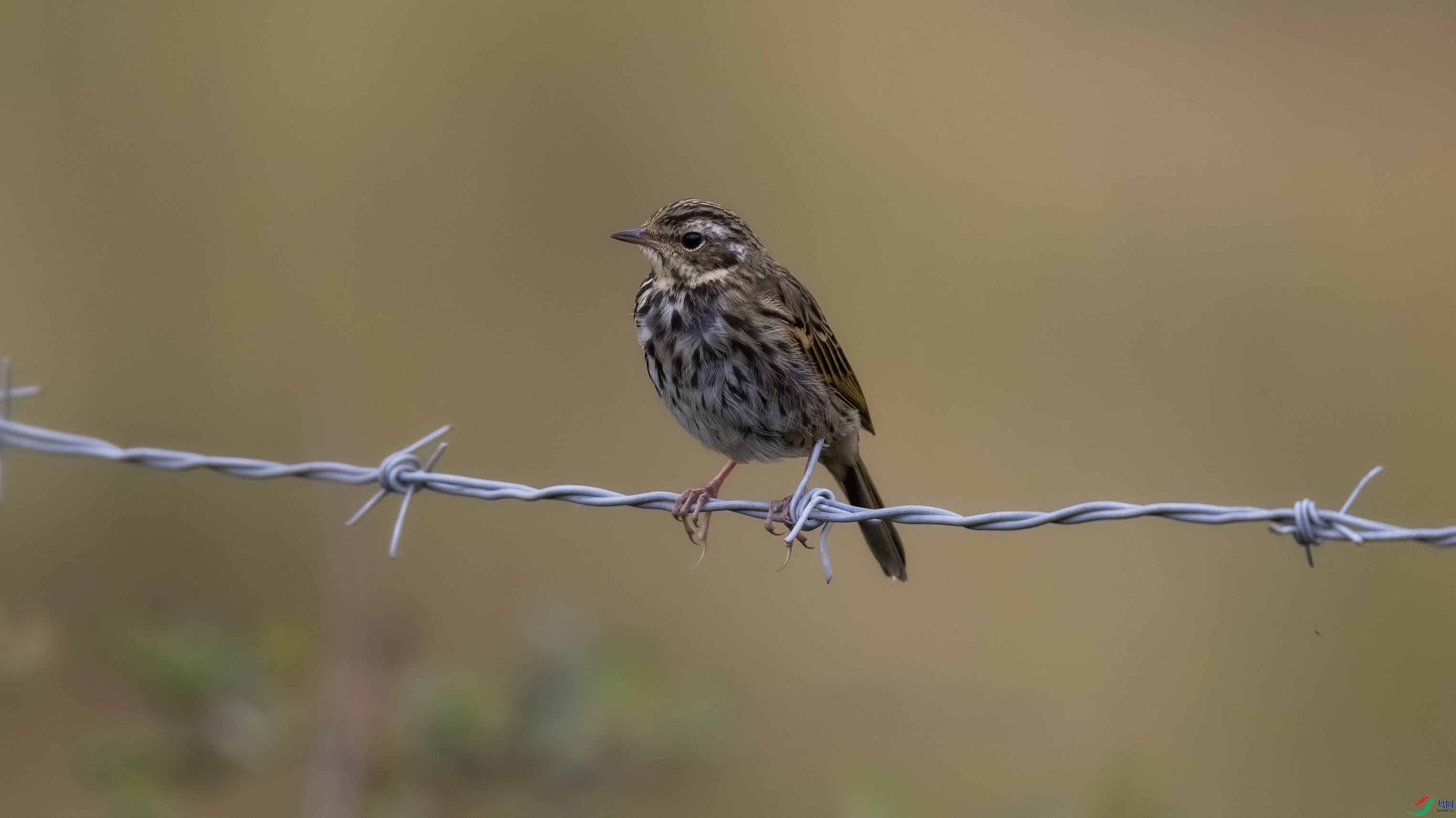 _O7A3159 ����.jpg