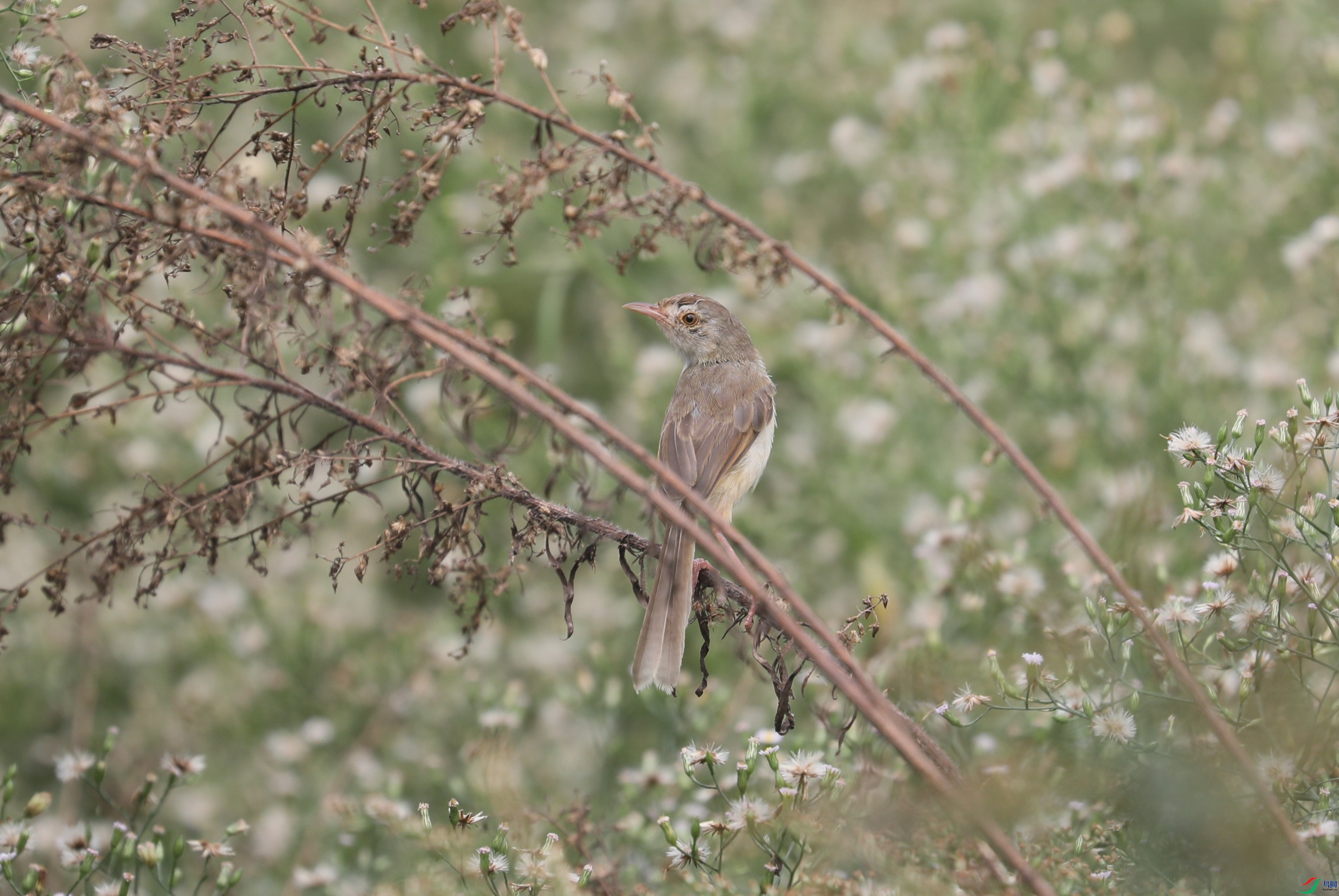 BL7A9758.JPG