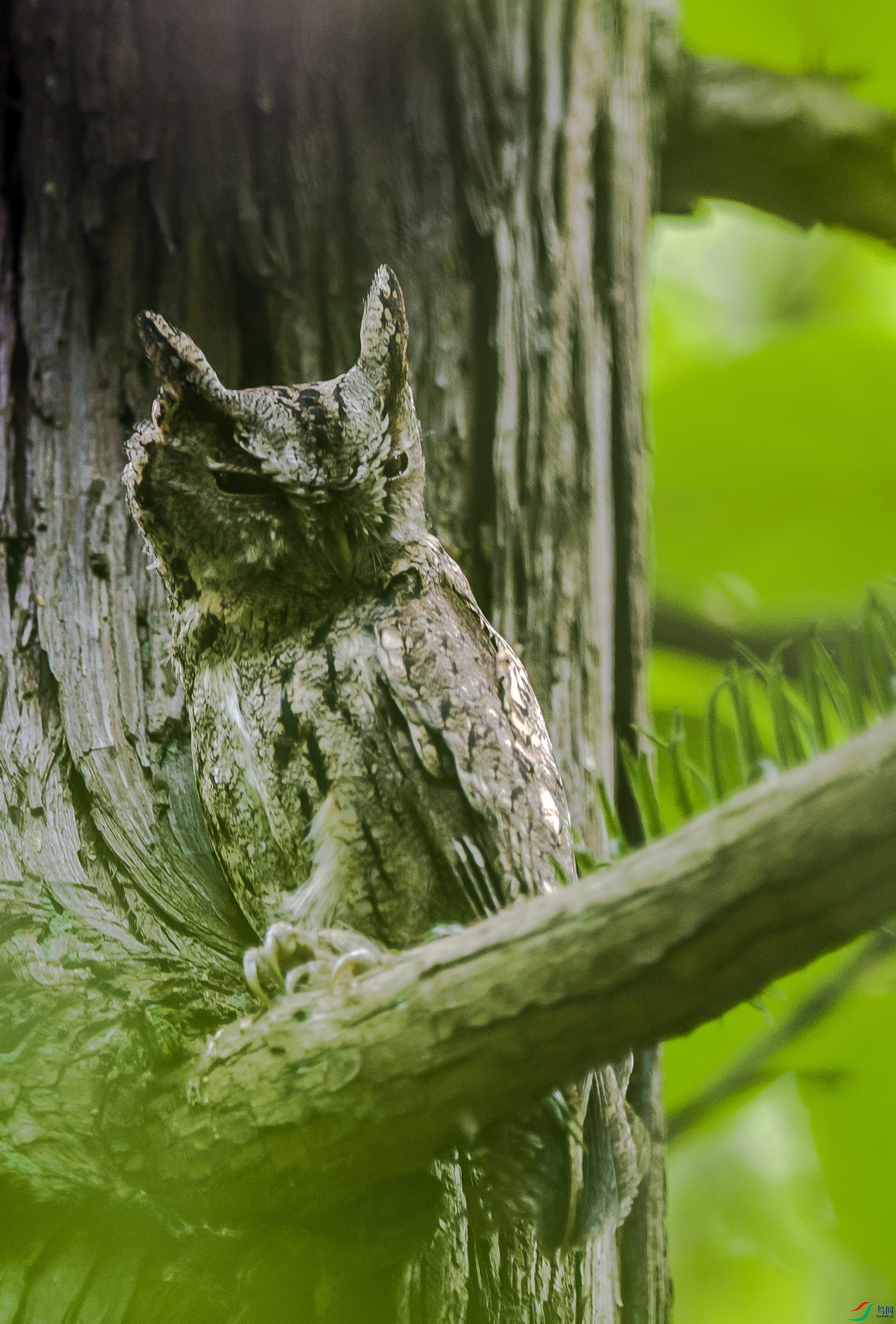 _DSC7215.jpg