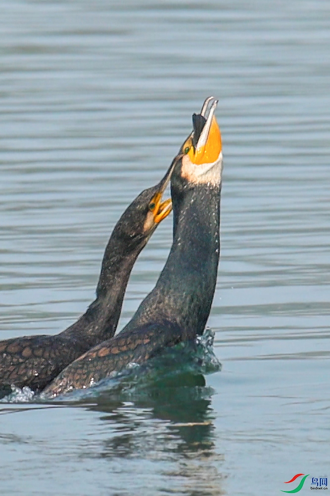 10��30��������� ����.jpg