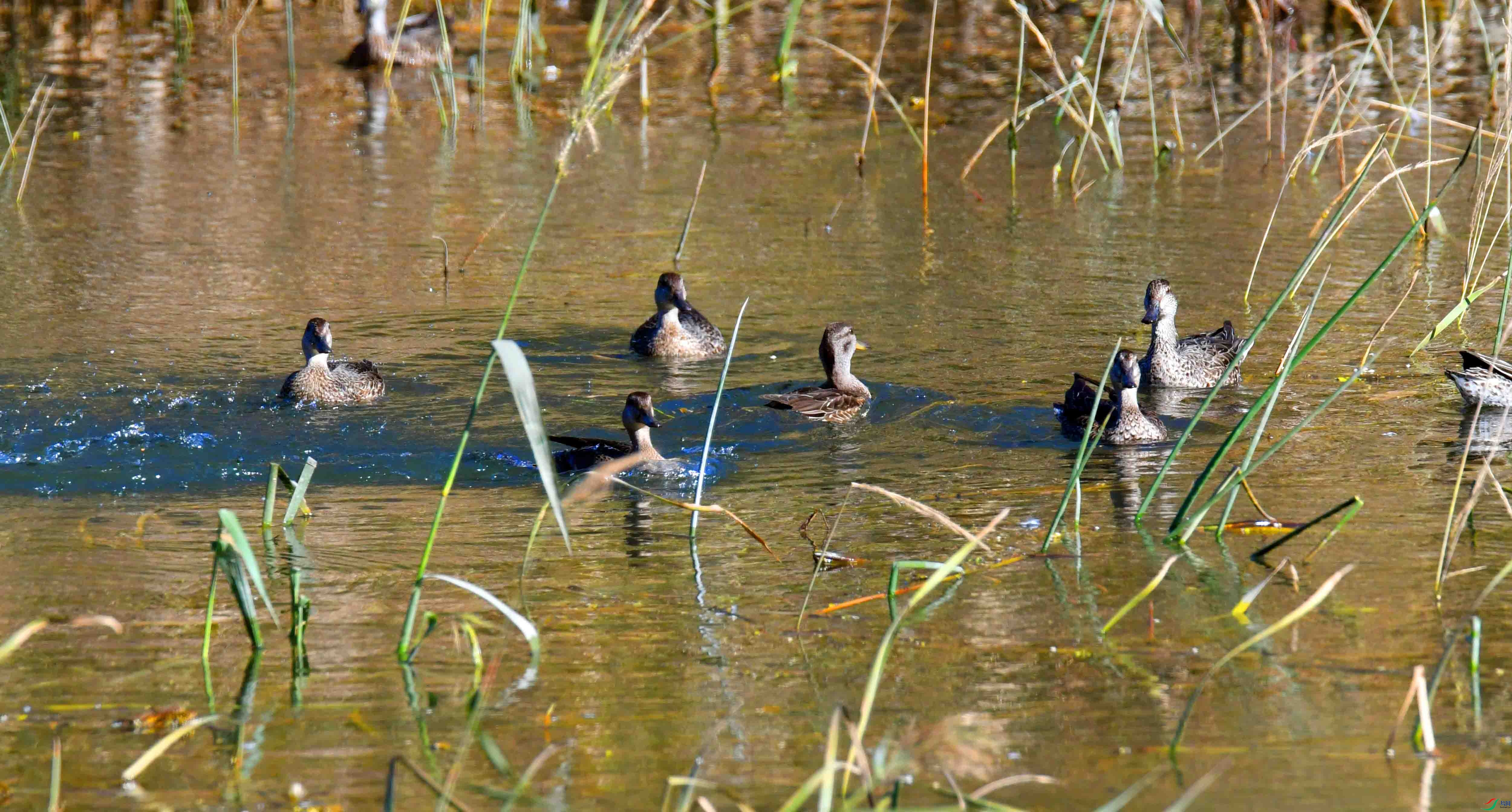 DSC_5369.JPG