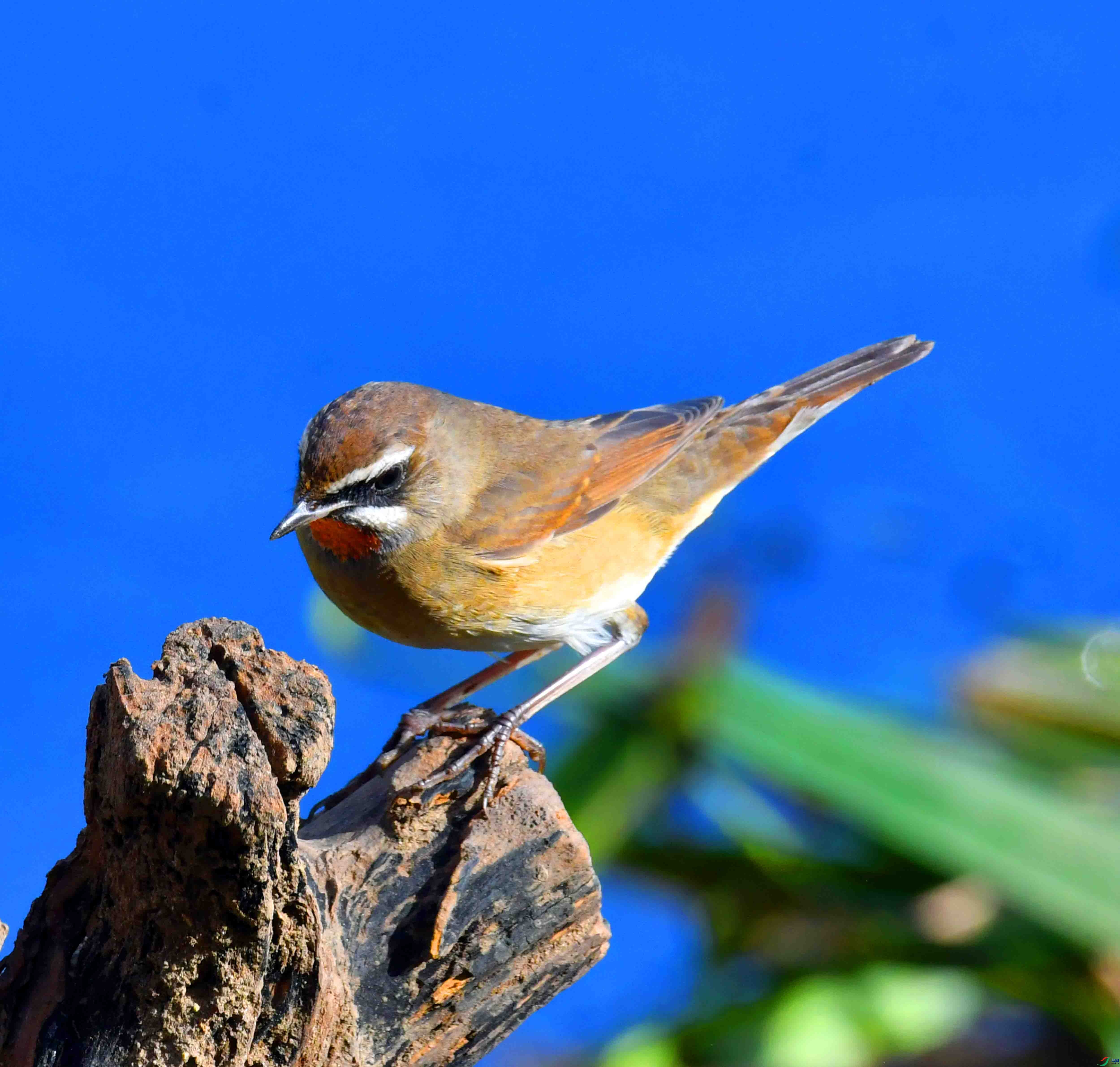 DSC_5540.JPG