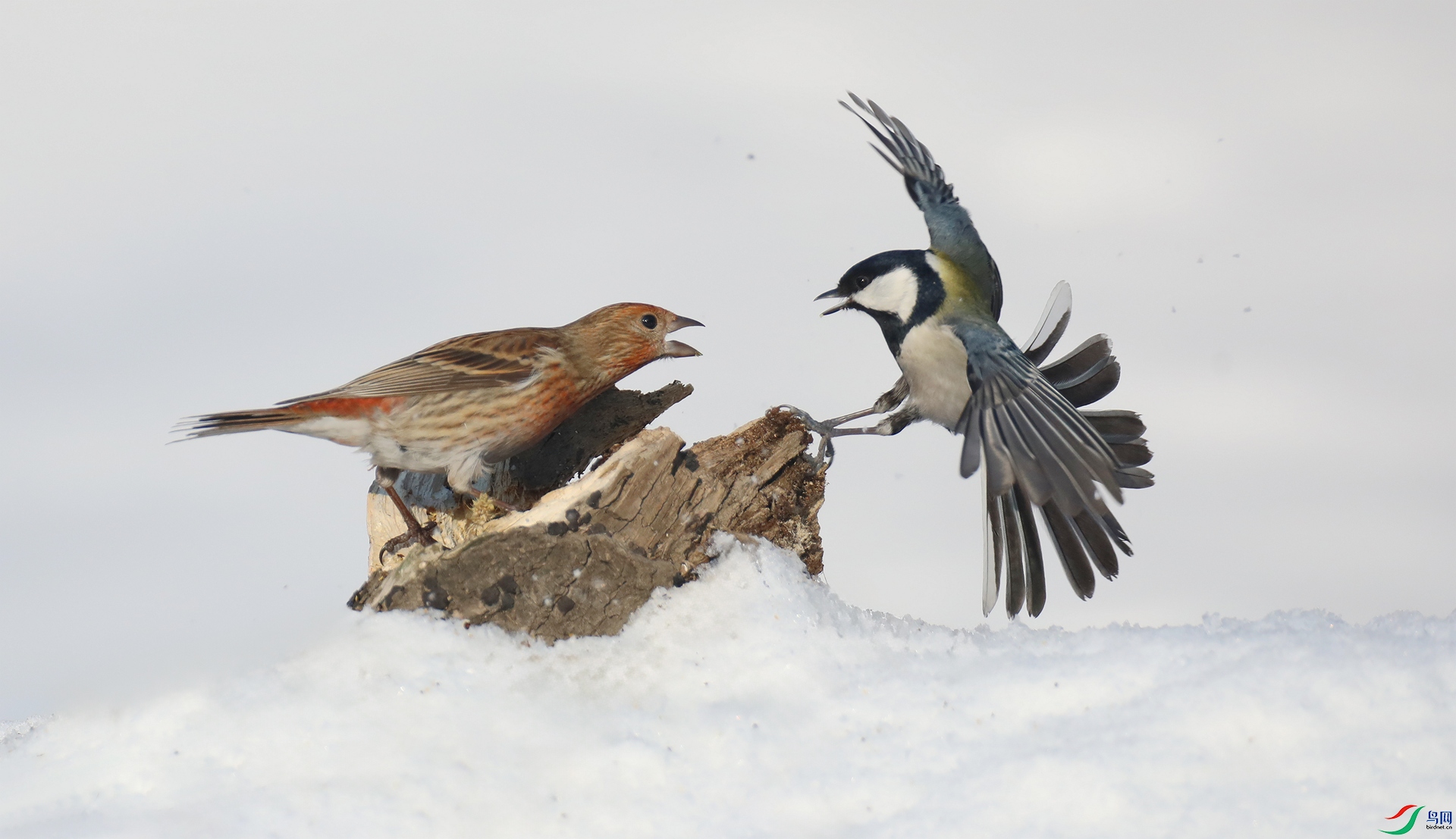 9G8A0678 ����.jpg