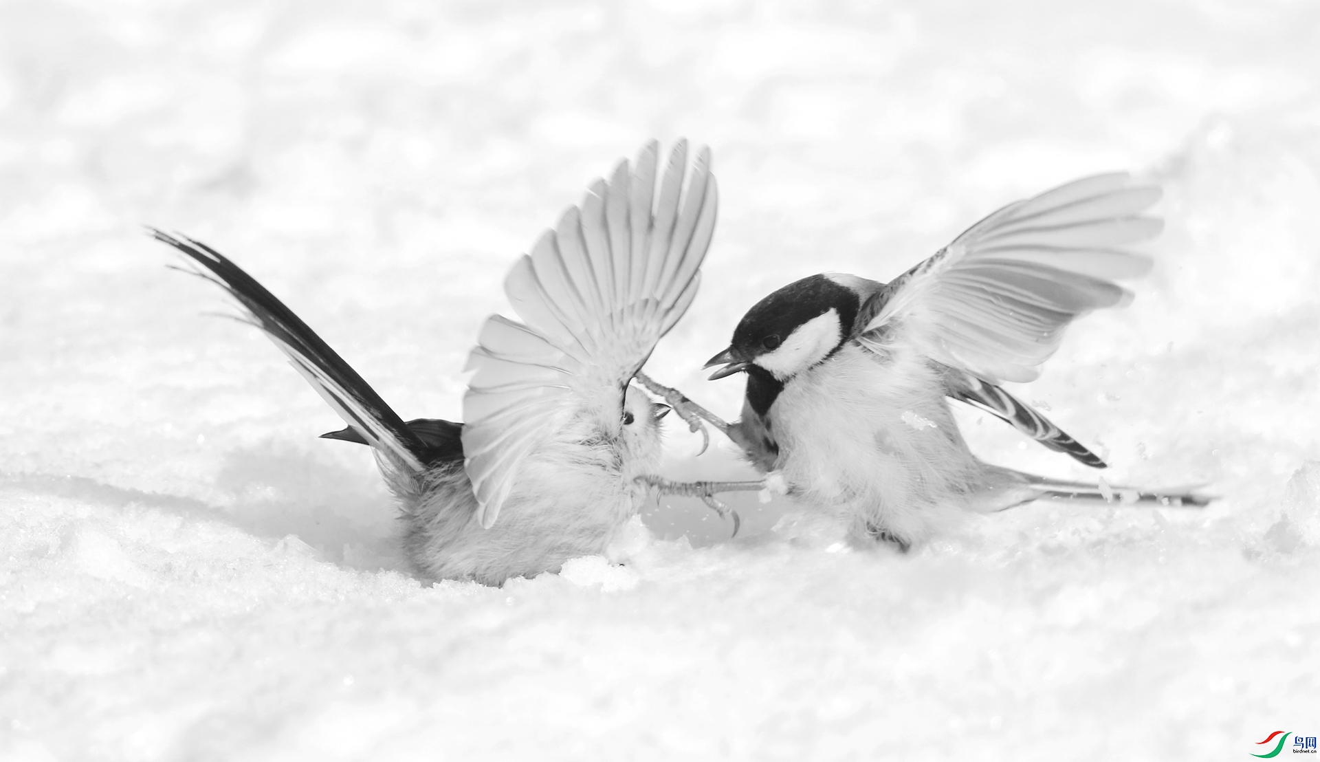 0G1A3214 ����.jpg