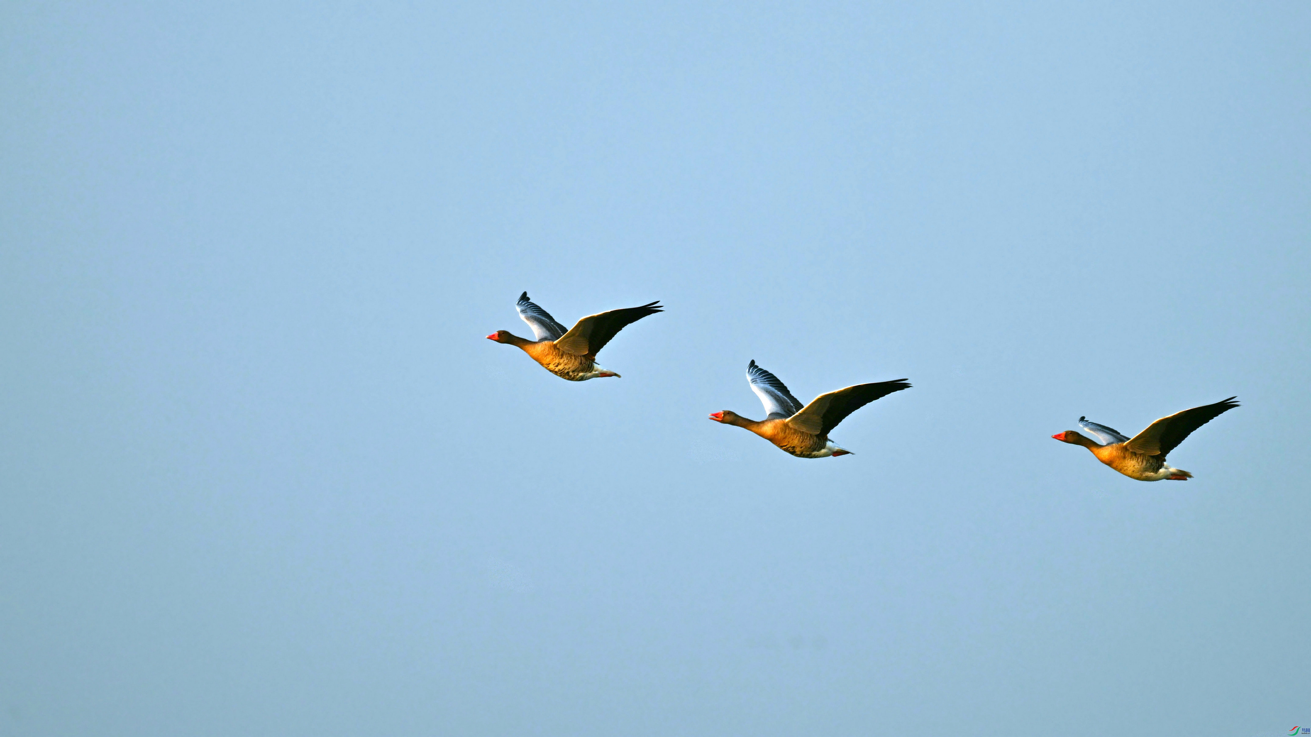 DSC_8933.JPG